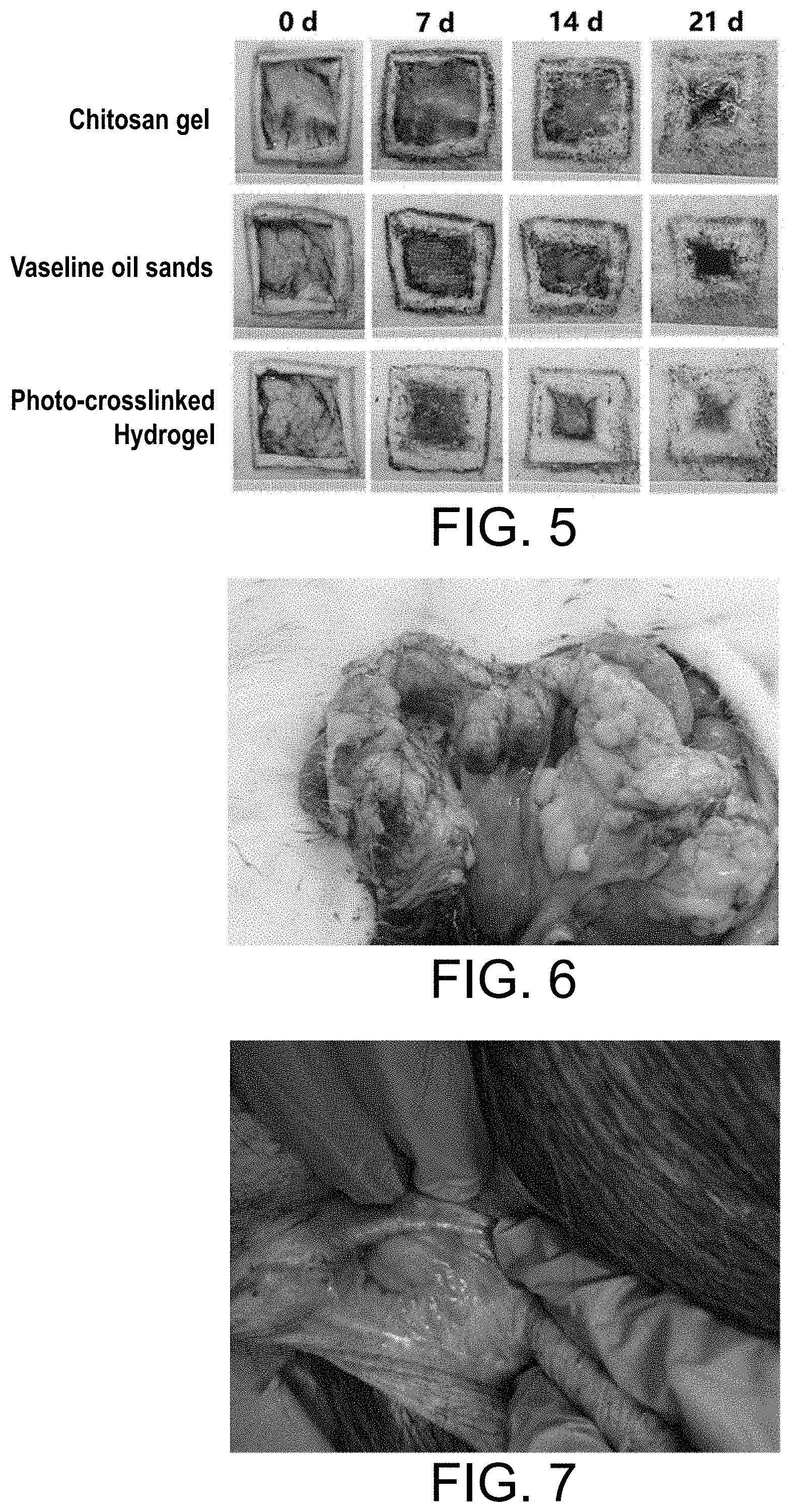 Patent US11787903 Figure 5 – Highly strong and tough photo-crosslinked hydrogel material and its preparation and application