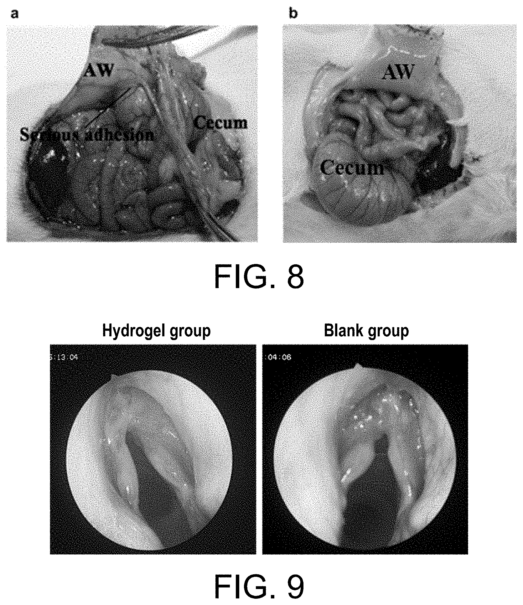 Patent US11787903 Figure 6 – Highly strong and tough photo-crosslinked hydrogel material and its preparation and application