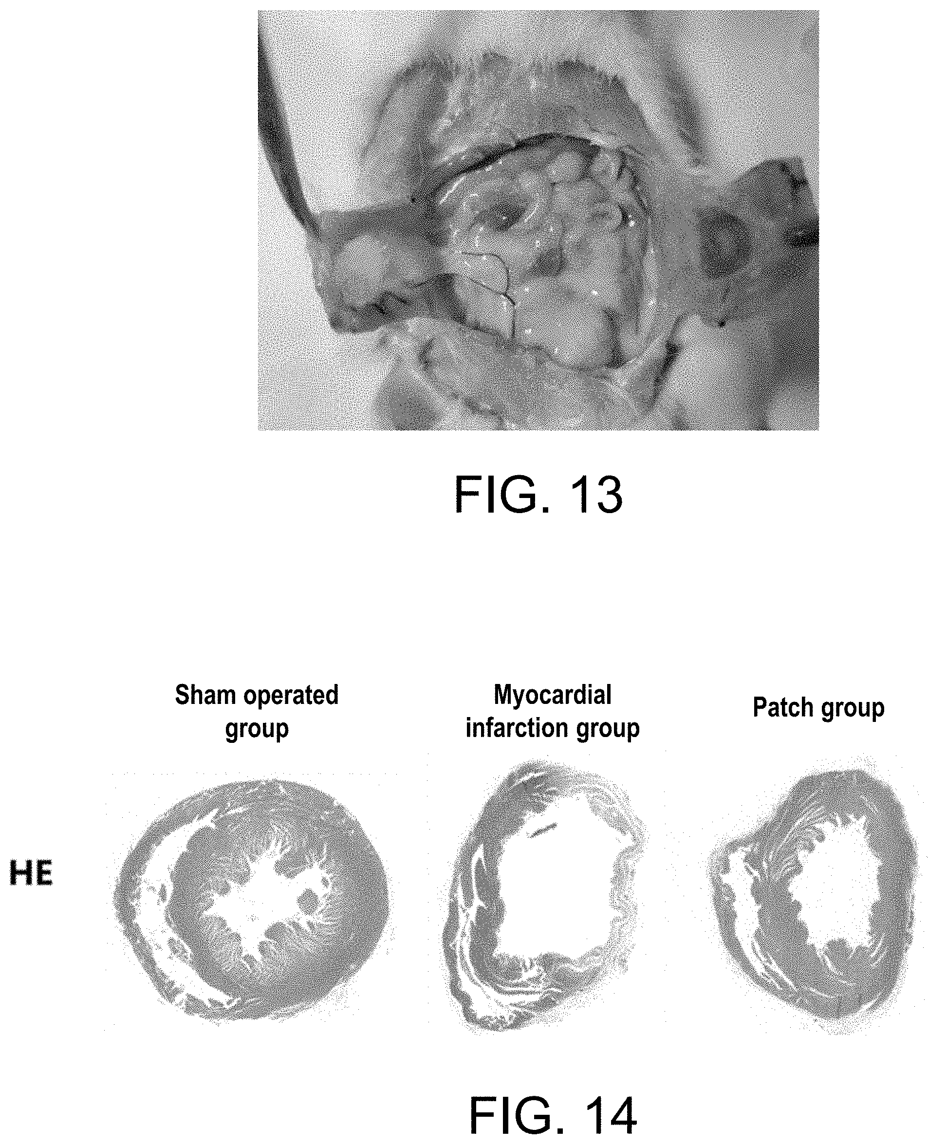 Patent US11787903 Figure 8 – Highly strong and tough photo-crosslinked hydrogel material and its preparation and application