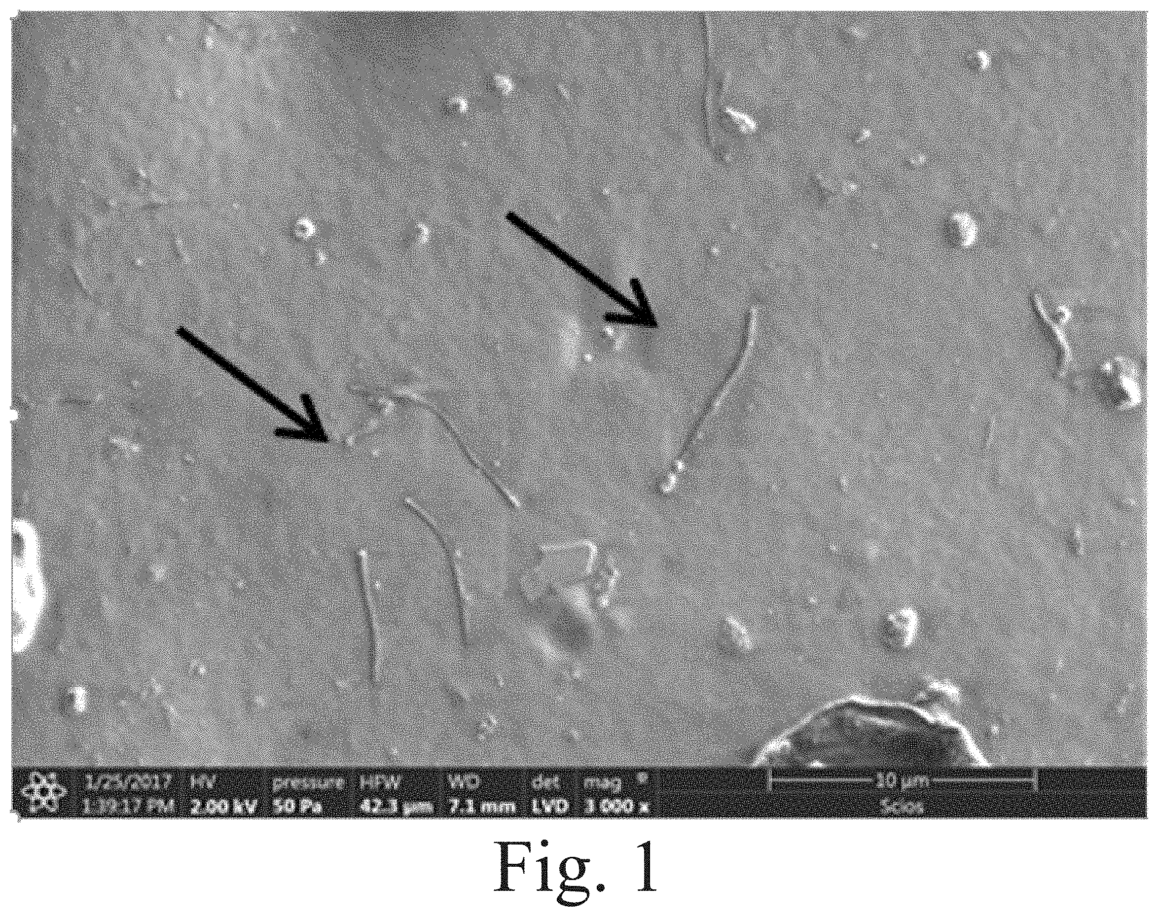 Patent US11787912 Figure 1 – Highly filled carbon nanofiber reinforced polysiloxanes
