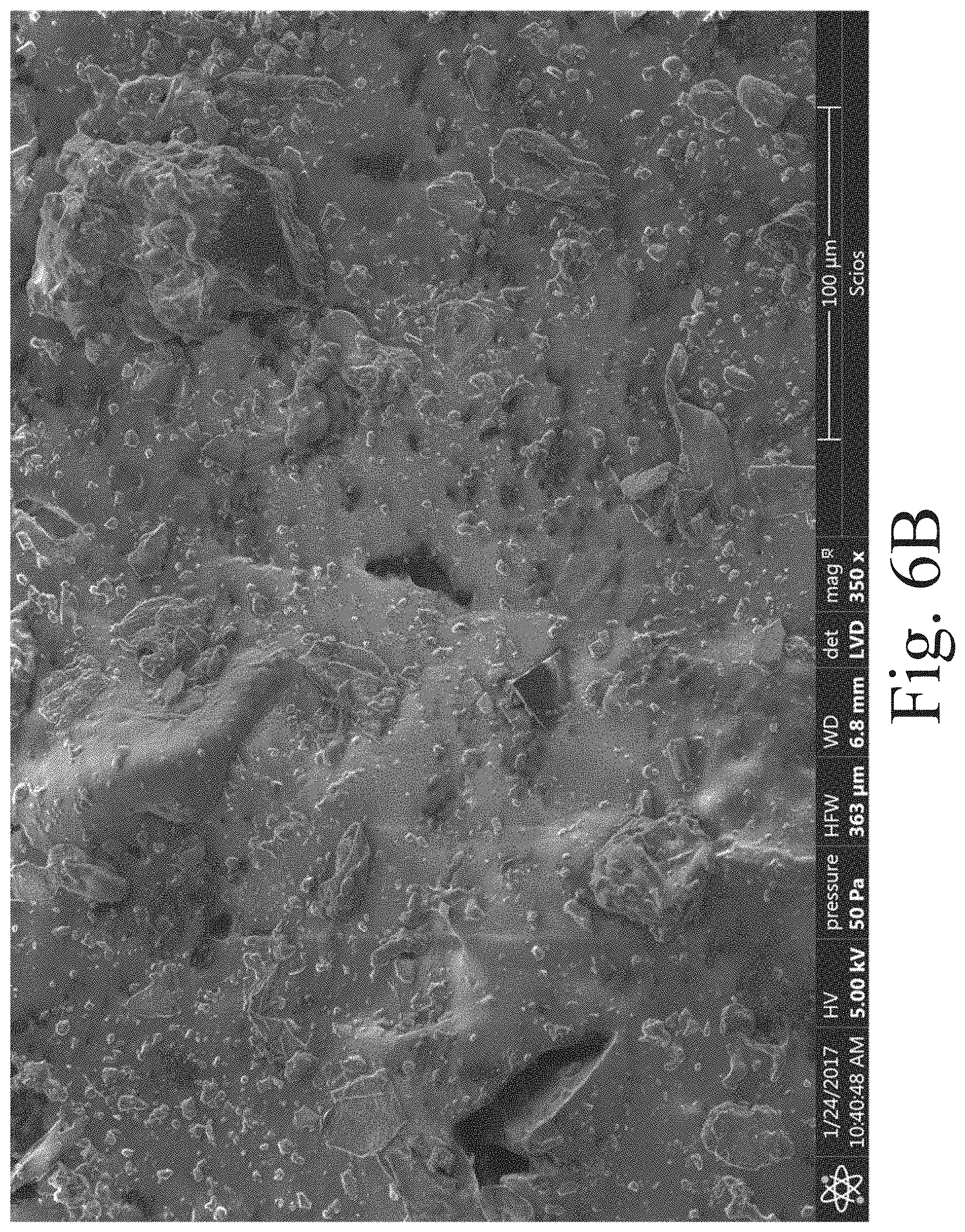 Patent US11787912 Figure 7 – Highly filled carbon nanofiber reinforced polysiloxanes