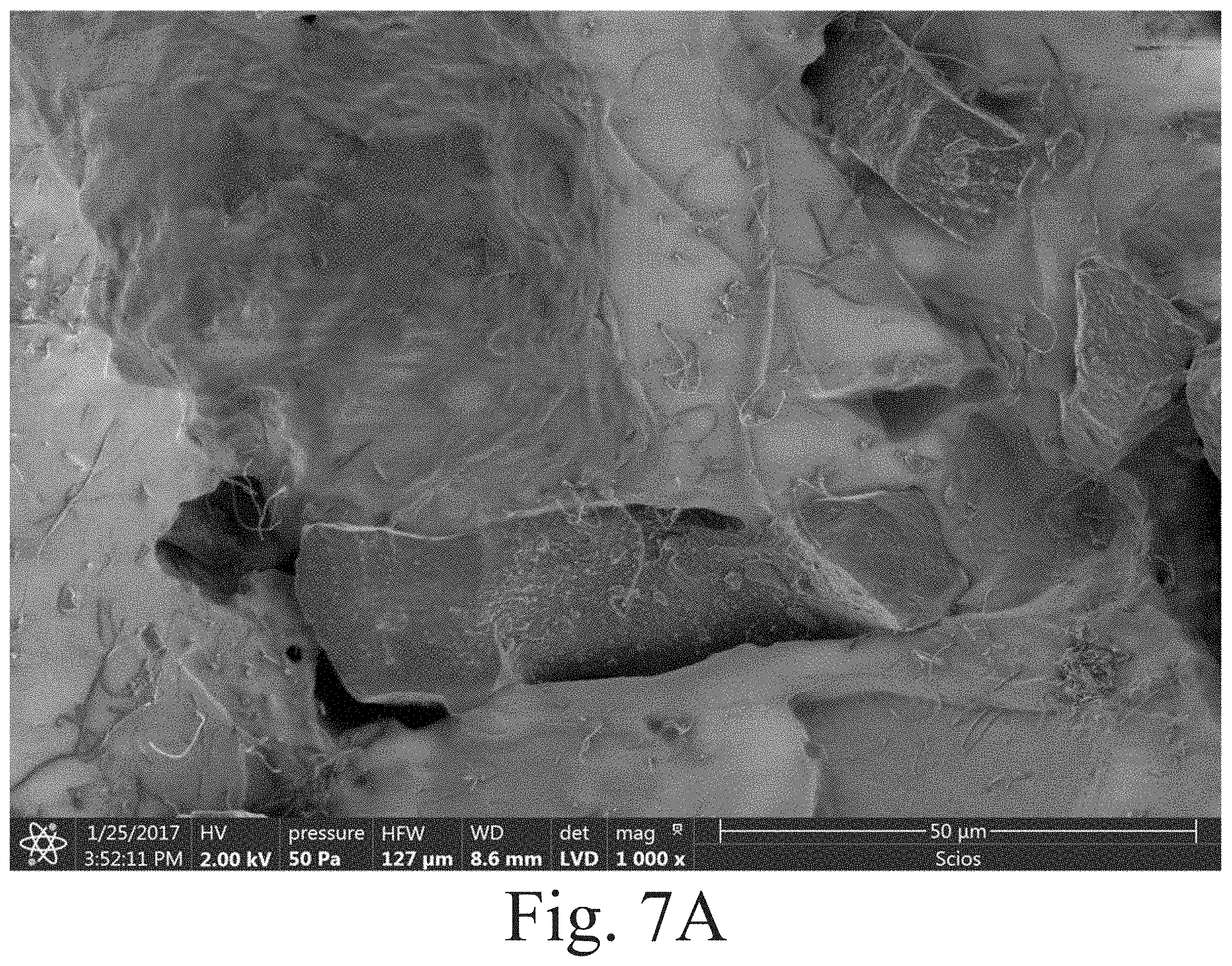Patent US11787912 Figure 8 – Highly filled carbon nanofiber reinforced polysiloxanes