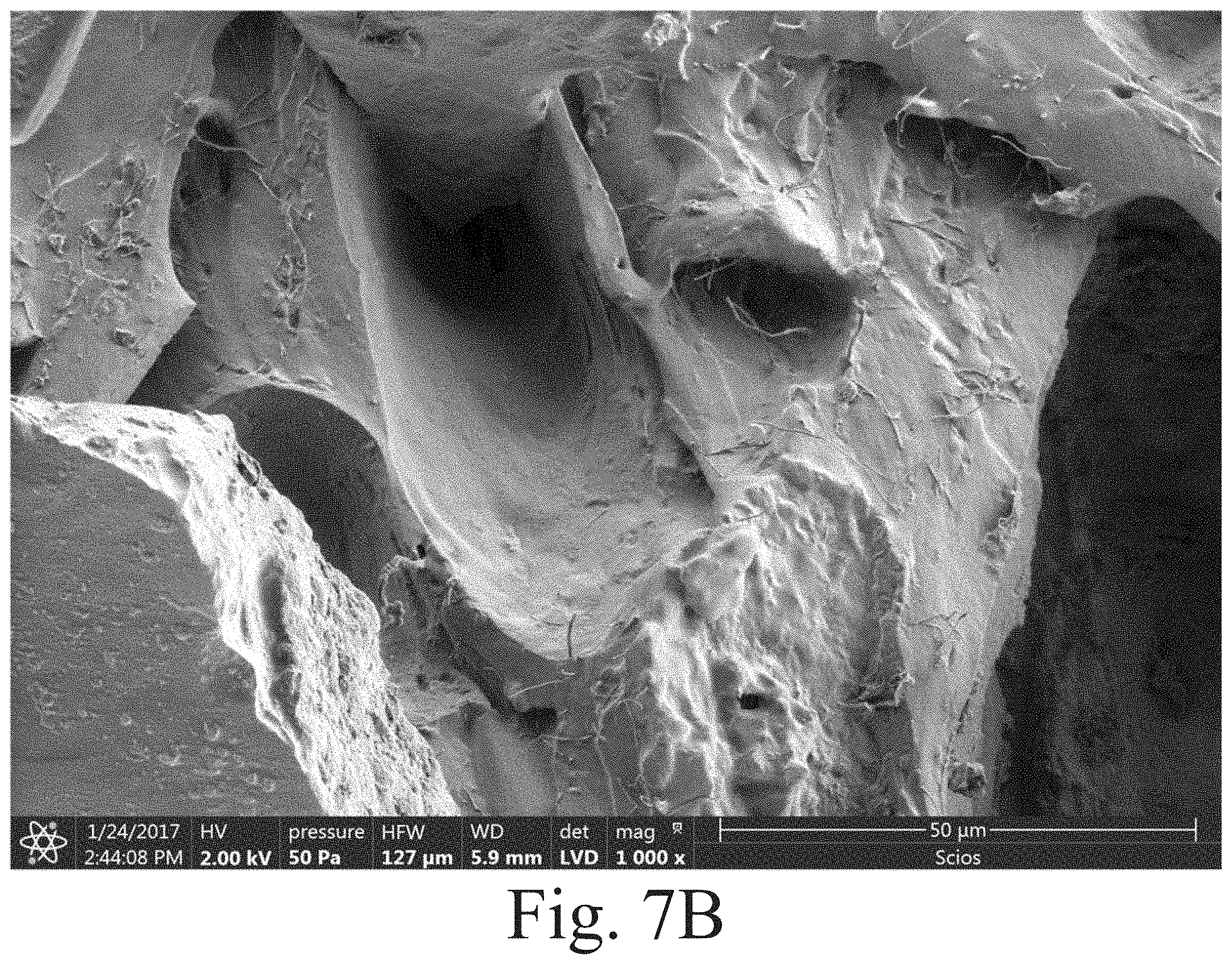 Patent US11787912 Figure 9 – Highly filled carbon nanofiber reinforced polysiloxanes