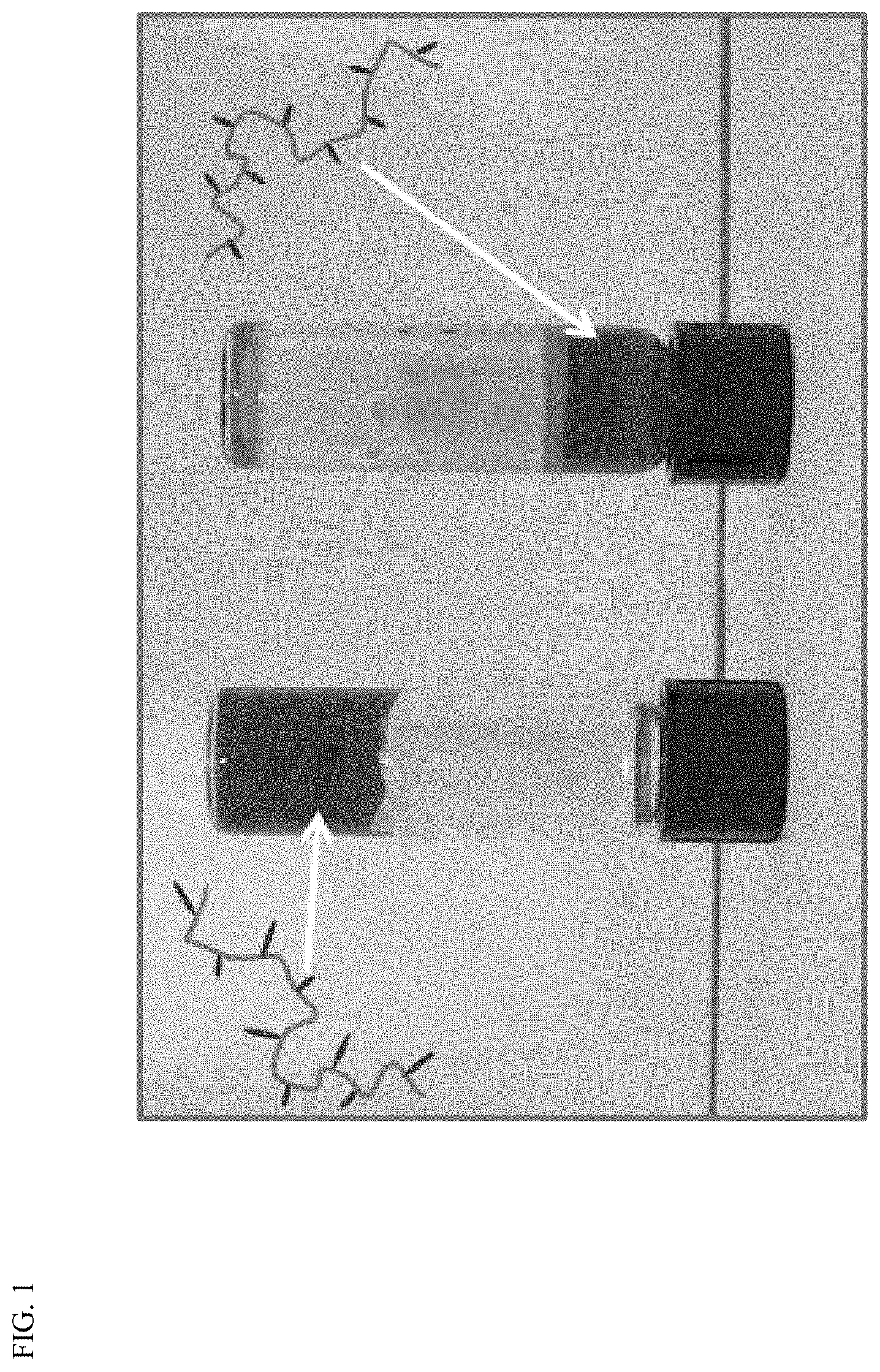 Patent US11787922 Figure 1 – Hydrophobically modified chitosan compositions
