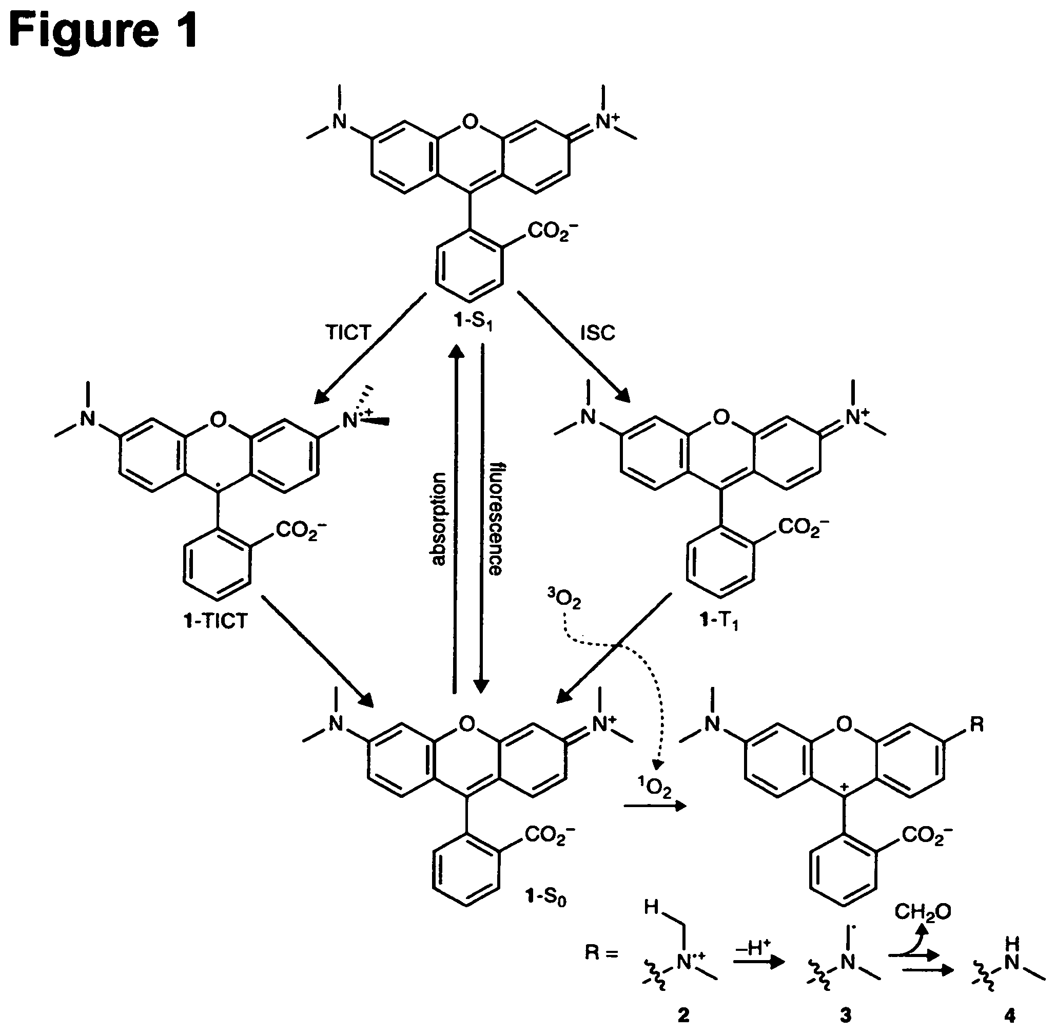 Patent US11787946 — Deuterated fluorophores — Figure 1
