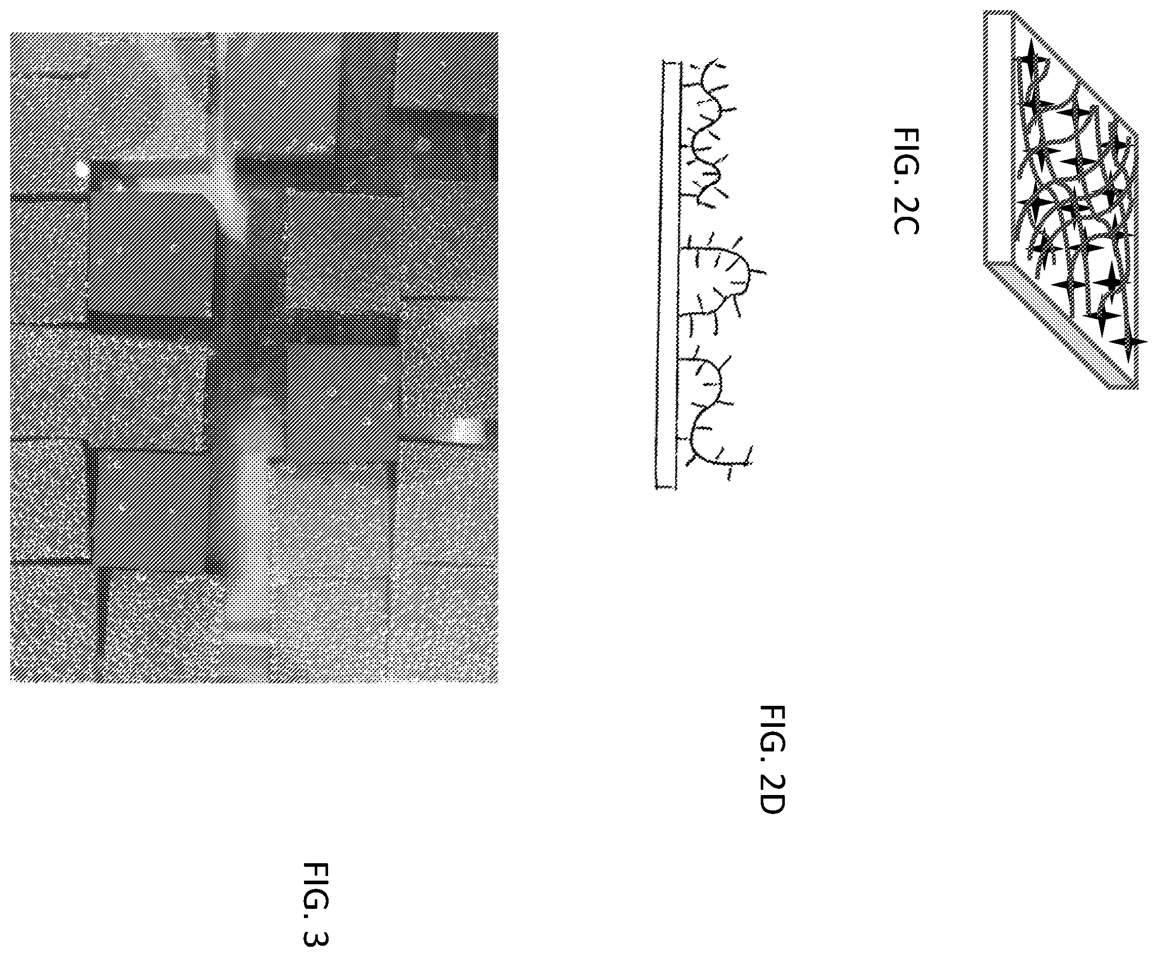 Patent US11787952 Figure 2 – Zwitterionic monomers, polyzwitterionic polymers formed therefrom, surface functionalization and surface modification
