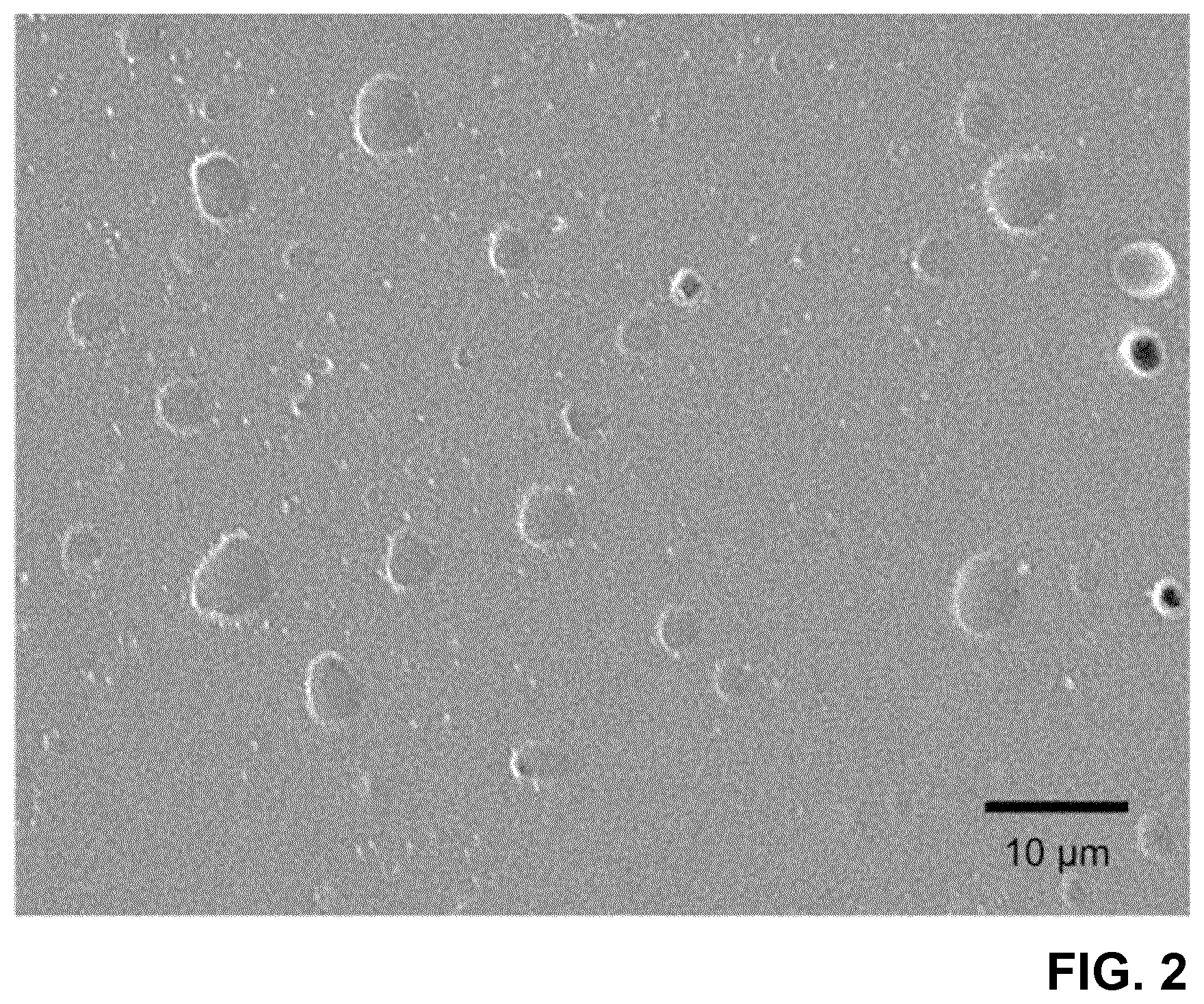 Patent US11787958 Figure 2 – Silicone 3D printing ink