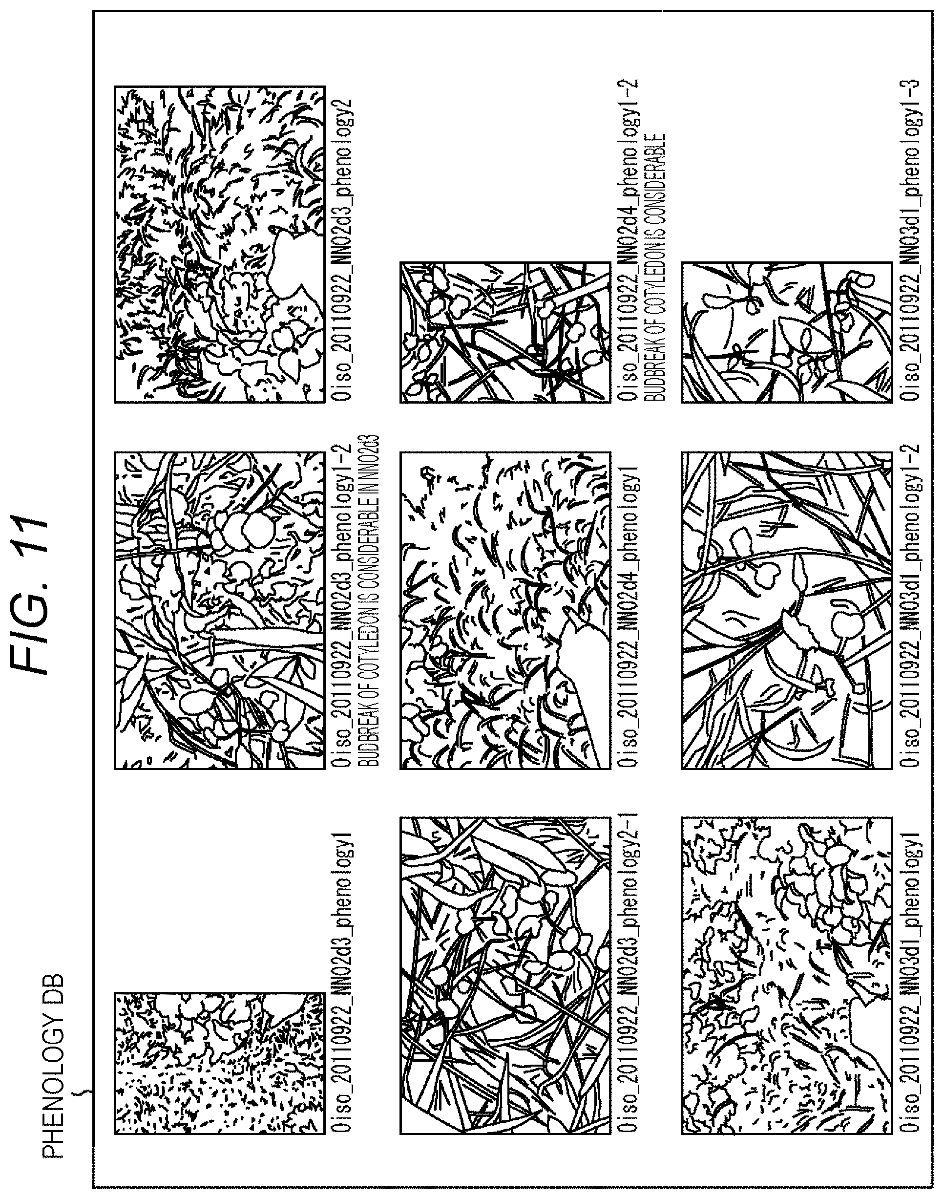 Patent US11793119 Figure 10 – Information processing device and information processing method