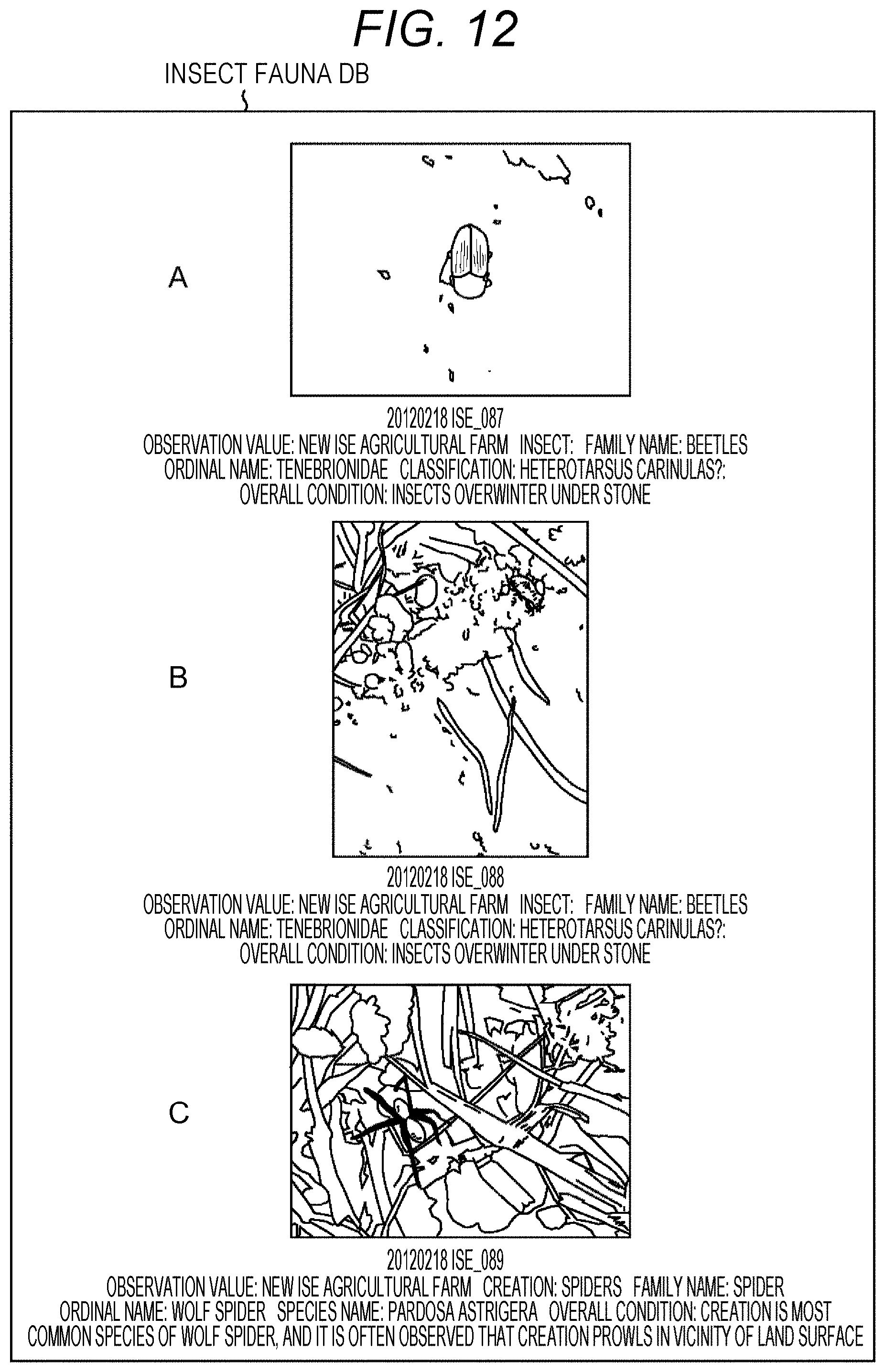 Patent US11793119 Figure 11 – Information processing device and information processing method