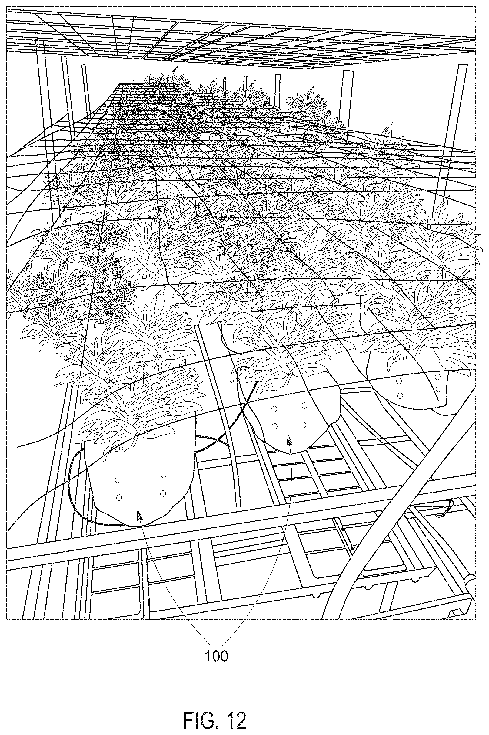 Patent US11793120 Figure 12 – Ready to use grow bags and methods of making and using the same
