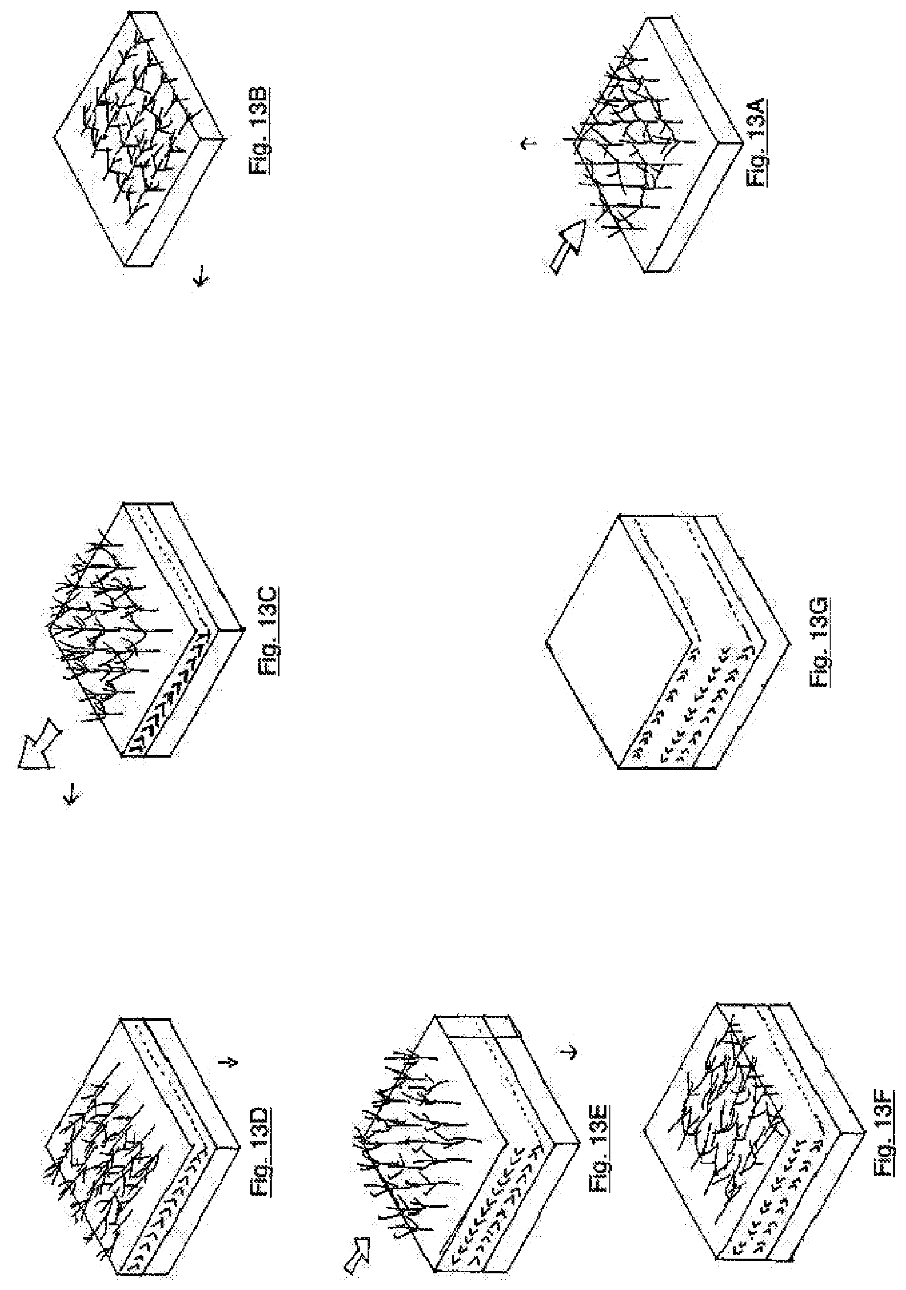 Patent US11793124 Figure 16 – System for growing fungal materials