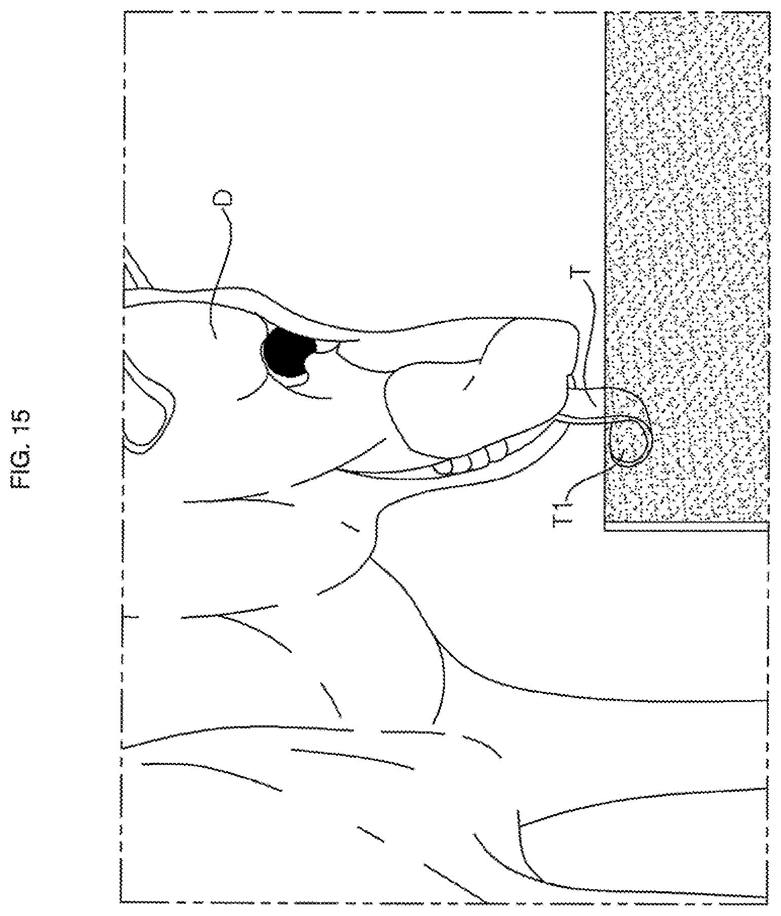 Patent US11793160 Figure 14 – Liquid dispenser for animals