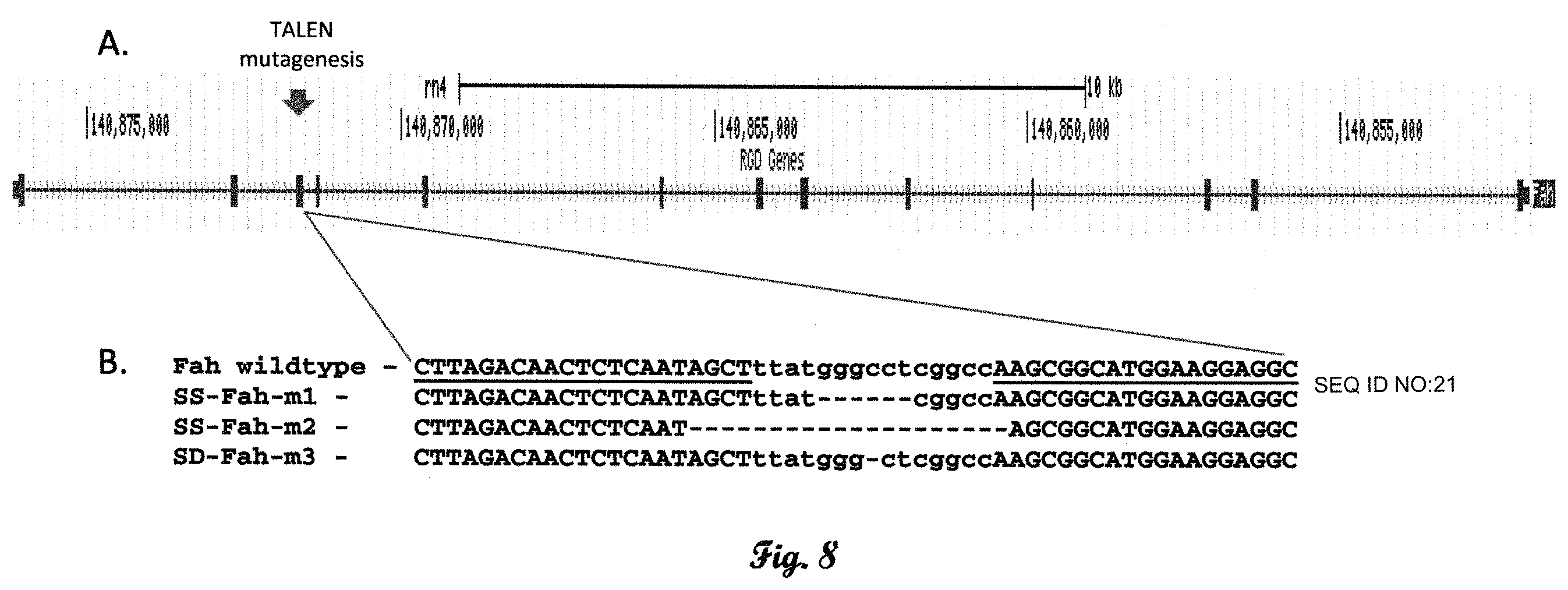 Patent US11793178 Figure 5 – Fumarylacetoacetate hydrolase (FAH)-deficient and immunodeficient rats and uses thereof