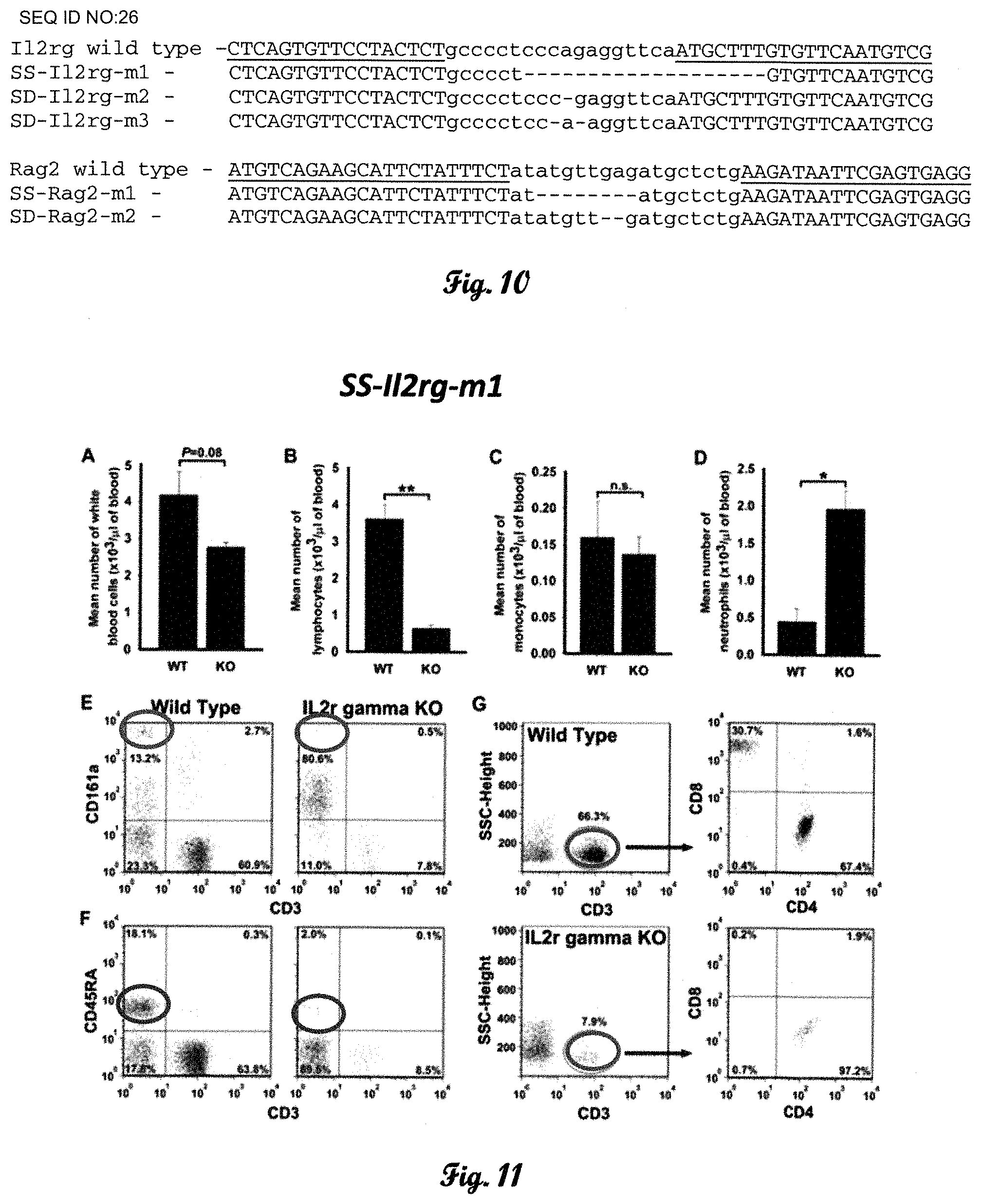 Patent US11793178 Figure 7 – Fumarylacetoacetate hydrolase (FAH)-deficient and immunodeficient rats and uses thereof