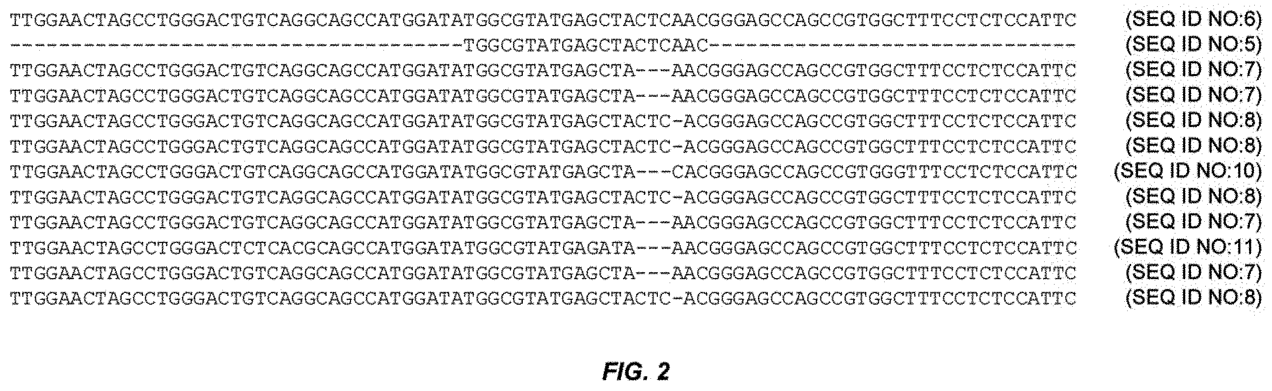 Patent US11793179 Figure 2 – Livestock animals with improved growth performance