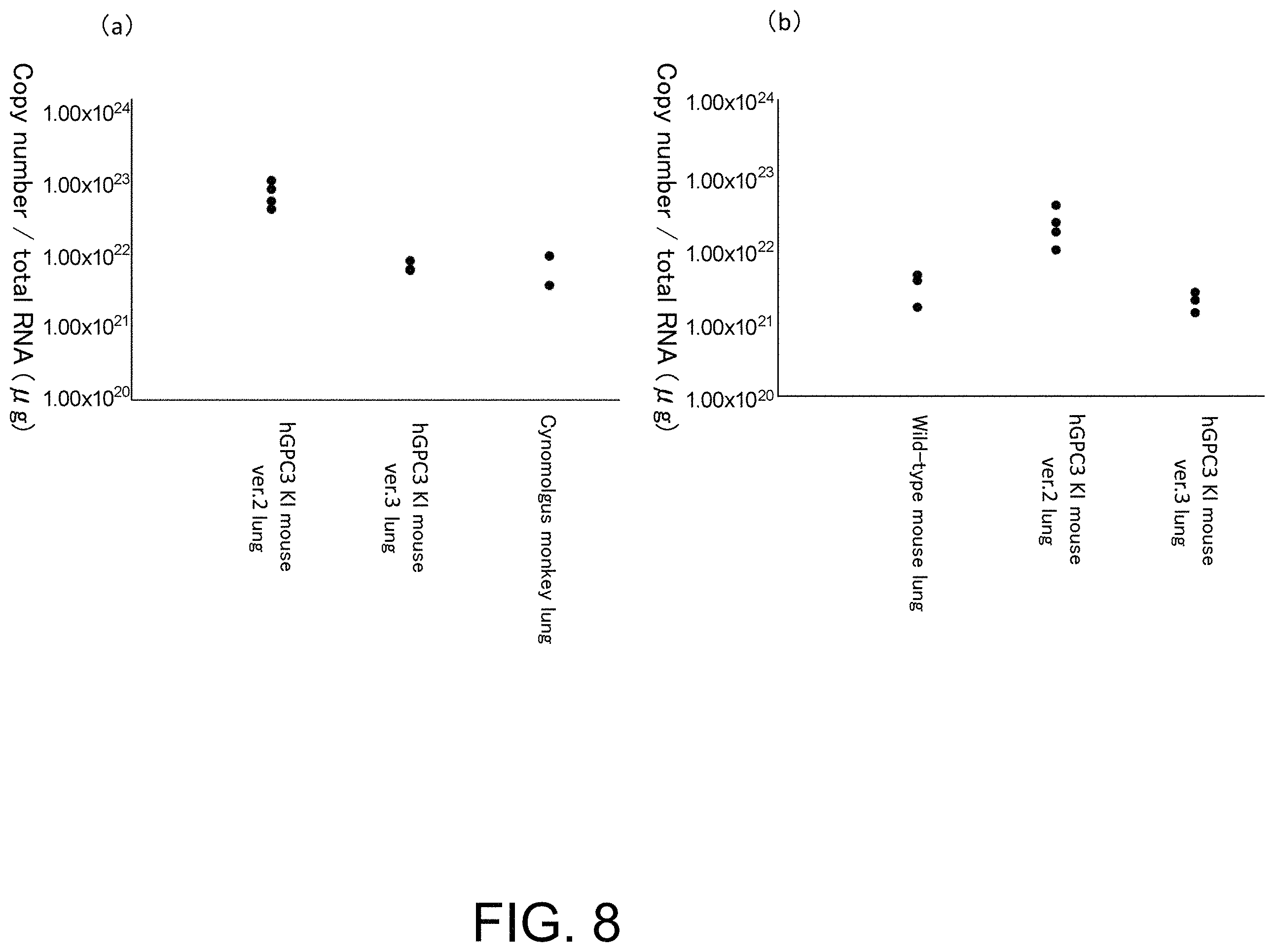 Patent US11793180 Figure 8 – Gene-modified mouse expressing human GPC3 polypeptide