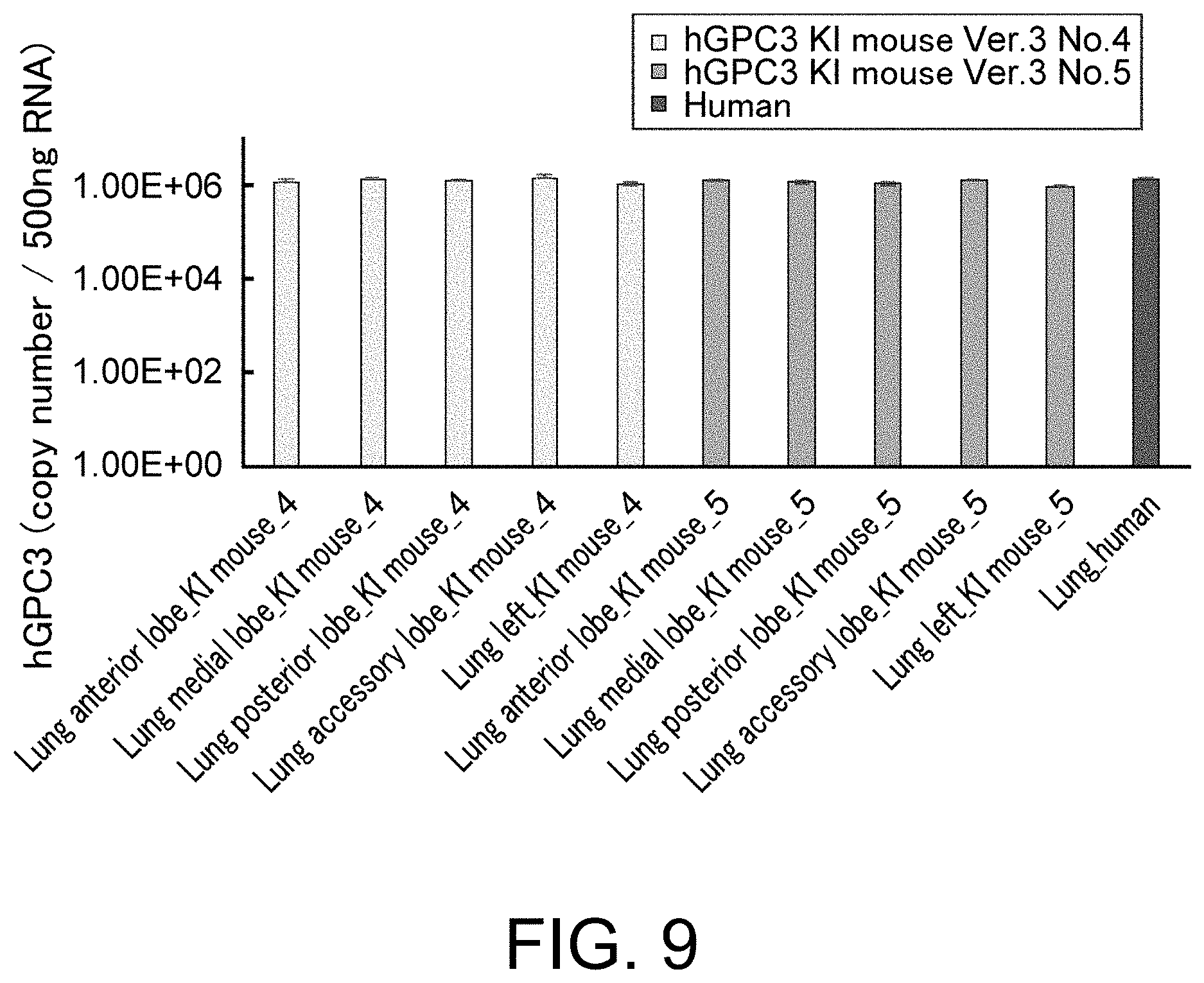 Patent US11793180 Figure 9 – Gene-modified mouse expressing human GPC3 polypeptide