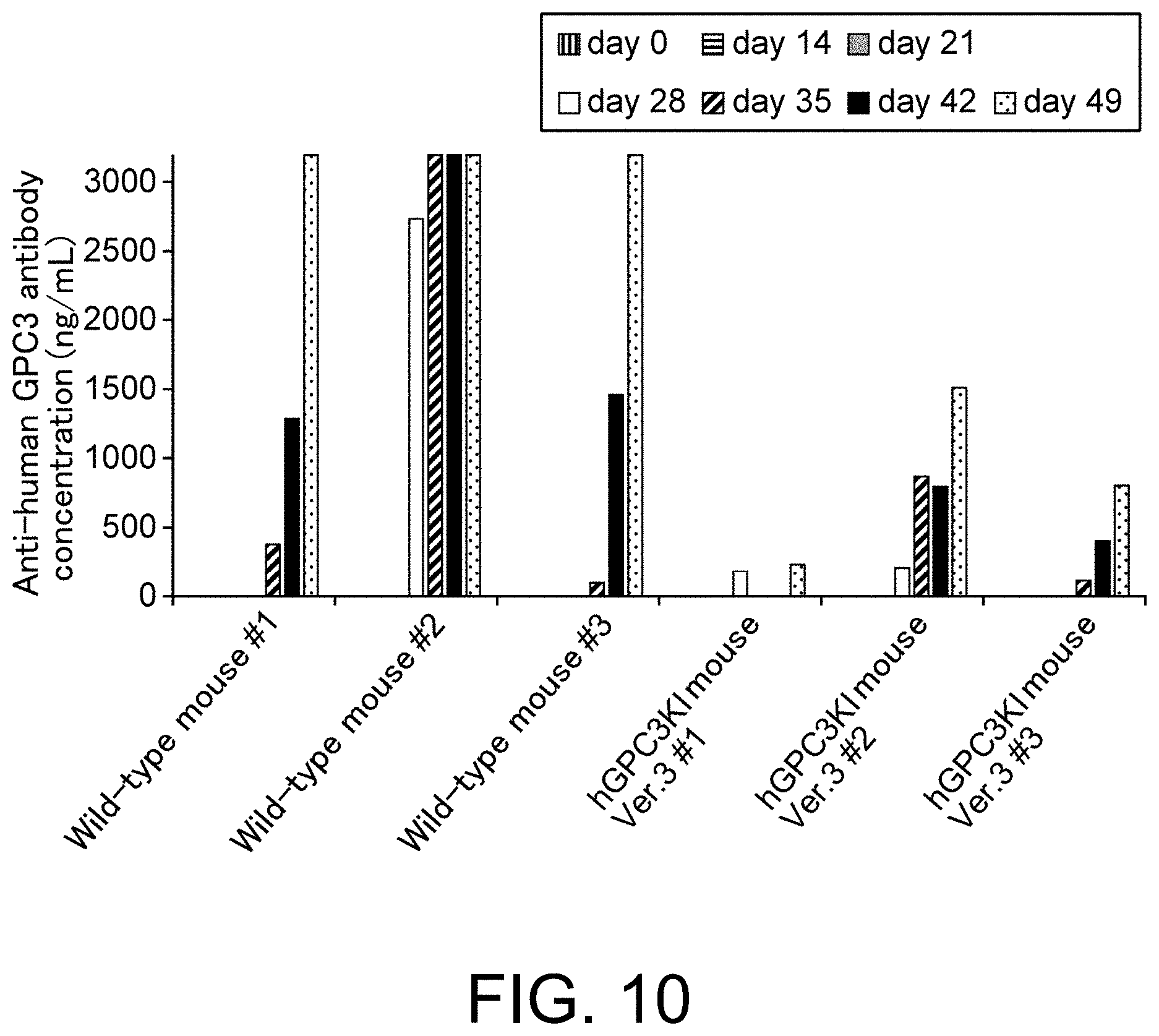 Patent US11793180 Figure 10 – Gene-modified mouse expressing human GPC3 polypeptide