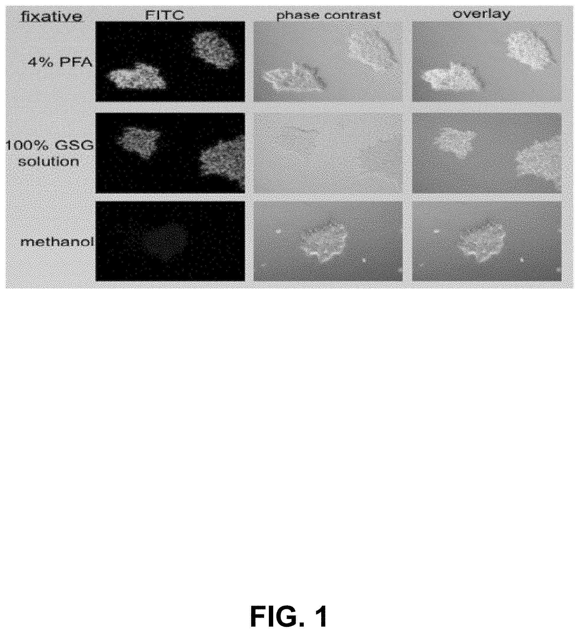 Patent US11793192 Figure 1 – Compositions and methods for preservation and fixation