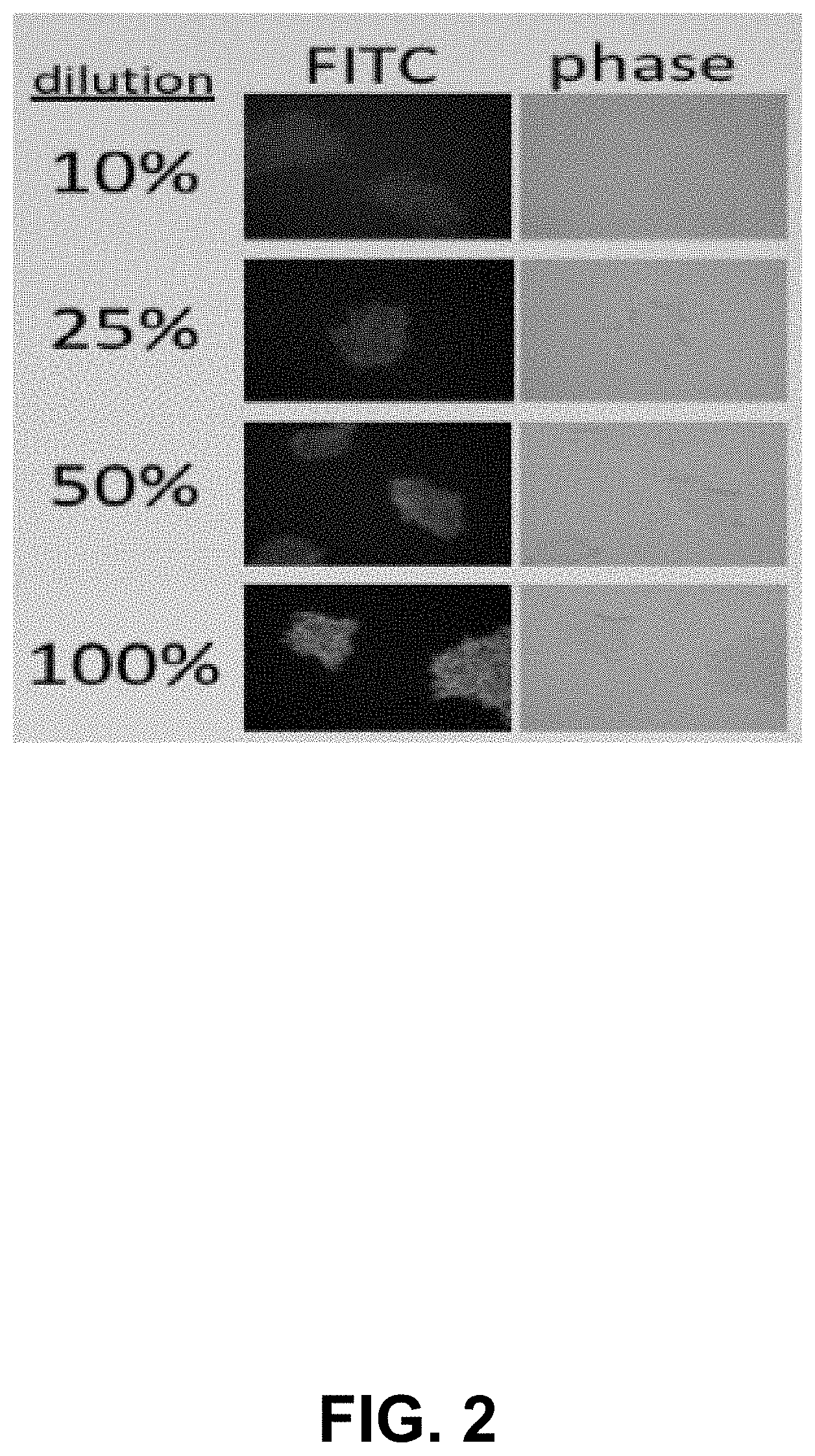 Patent US11793192 Figure 2 – Compositions and methods for preservation and fixation