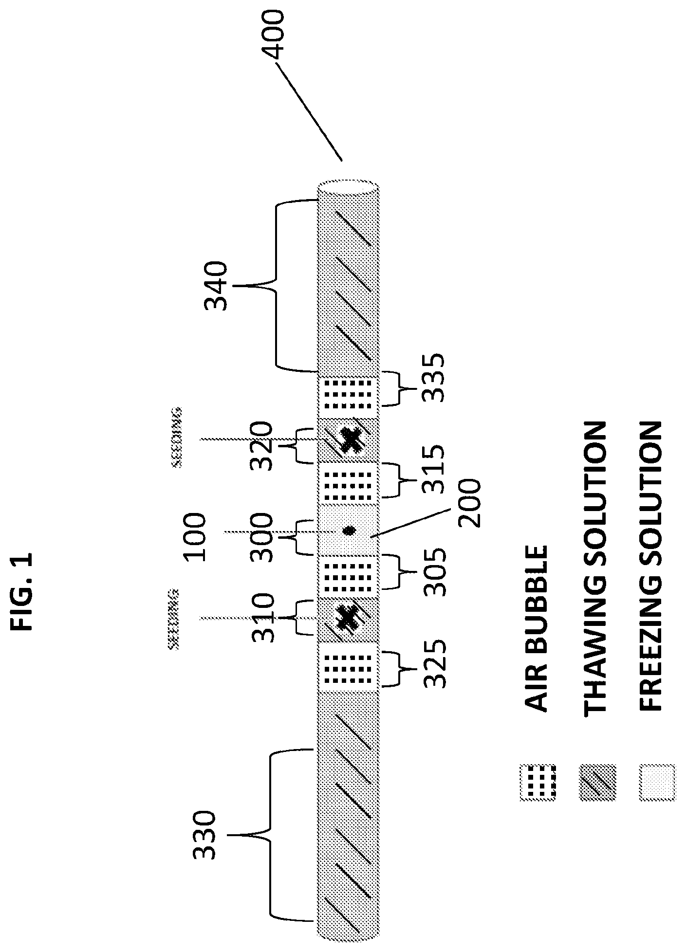 Patent US11793193 Figure 1 – Cryopreserving ungulate embryos