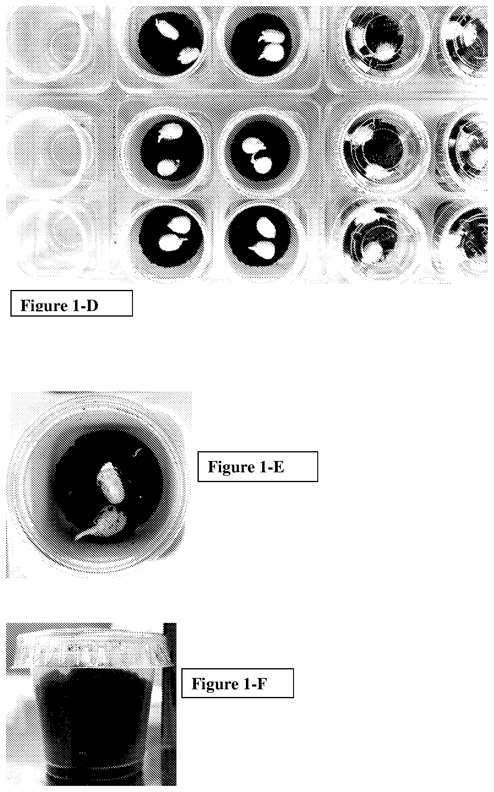 Patent US11793199 Figure 2 – Formulations and methods for controlling rootworm larvae