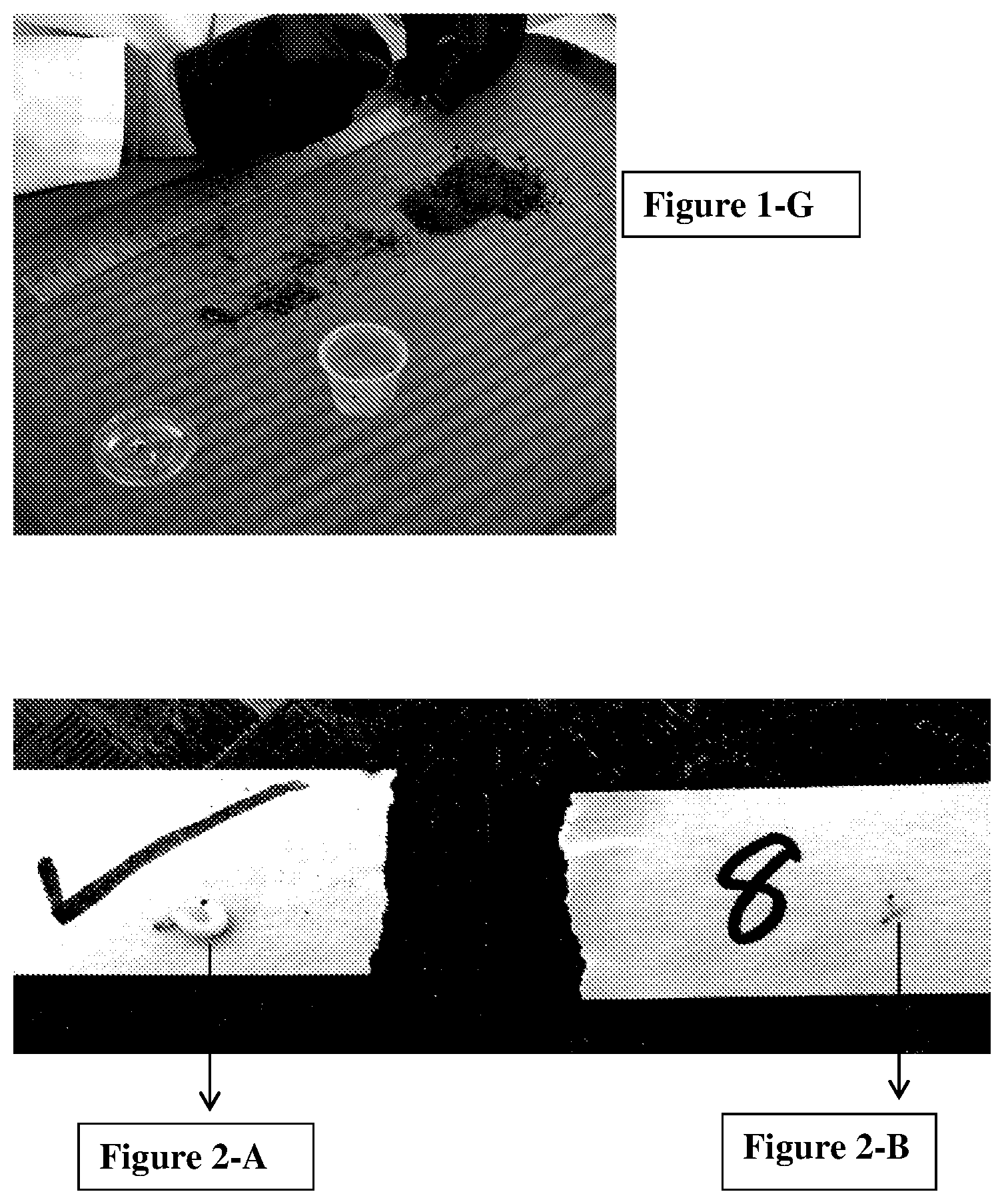 Patent US11793199 Figure 3 – Formulations and methods for controlling rootworm larvae