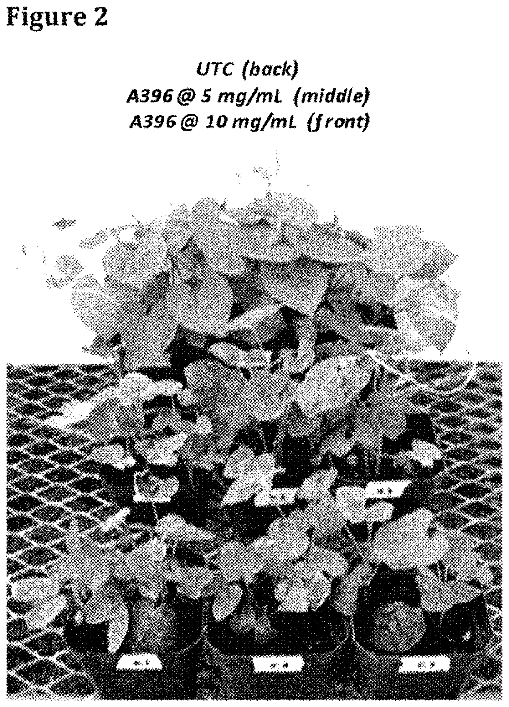 Patent US11793201 Figure 2 – Isolated bacterial strain of the genus Burkholderia and pesticidal metabolites therefrom