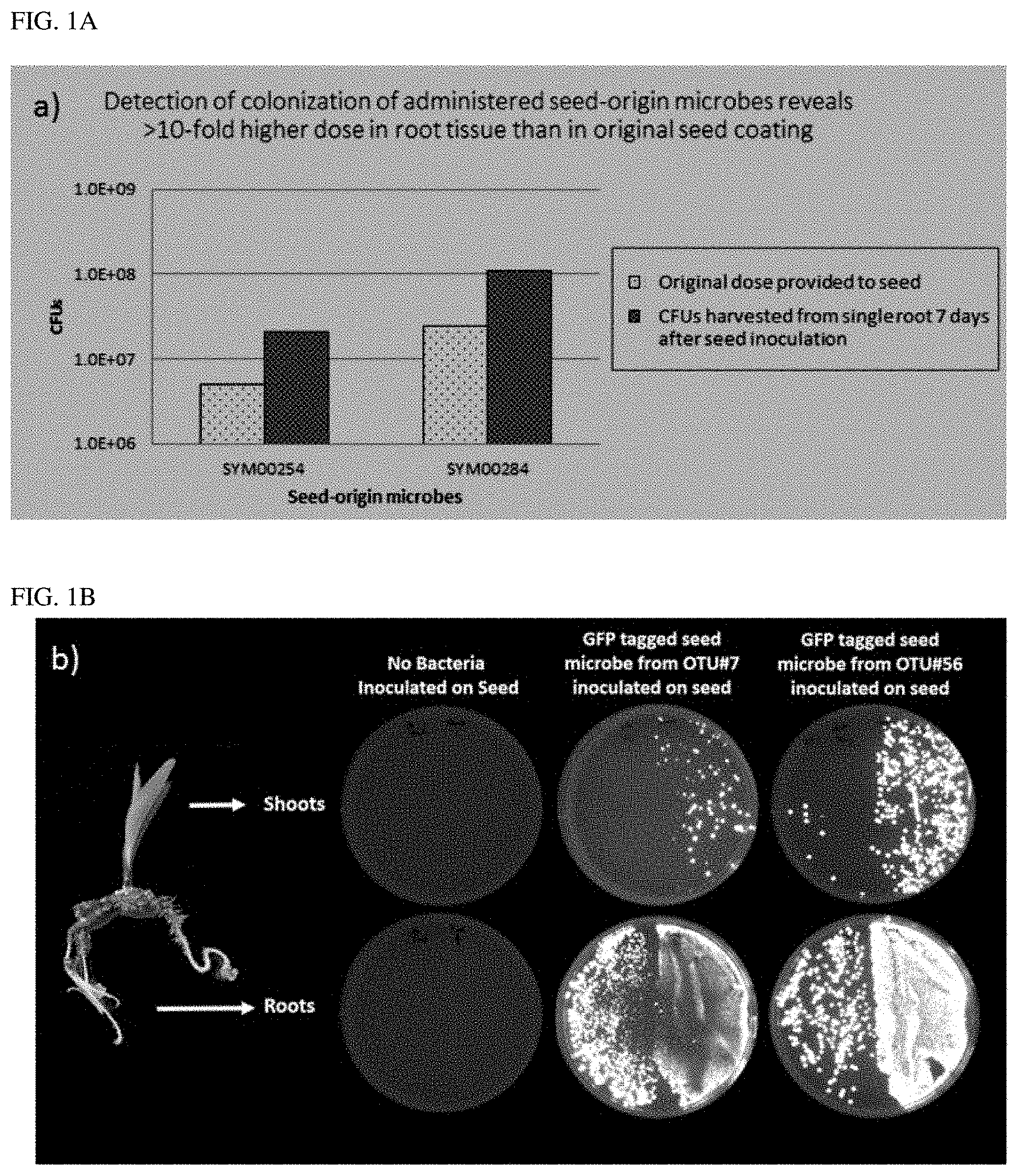 Patent US11793202 Figure 1 – Methods of use of seed-origin endophyte populations