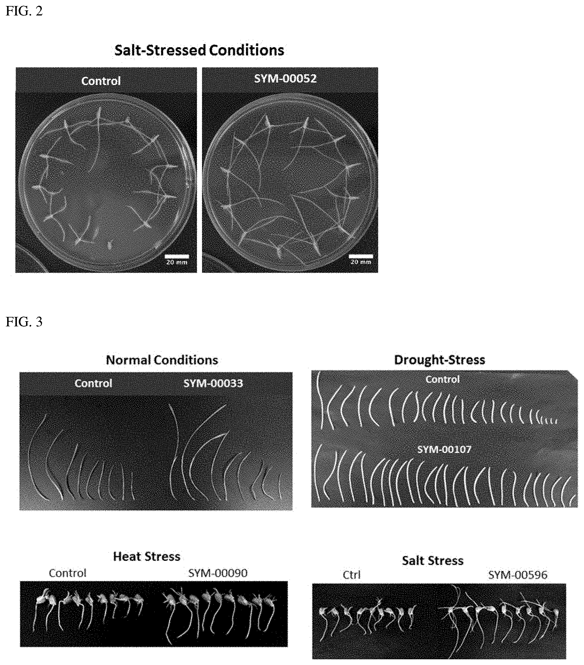 Patent US11793202 Figure 2 – Methods of use of seed-origin endophyte populations