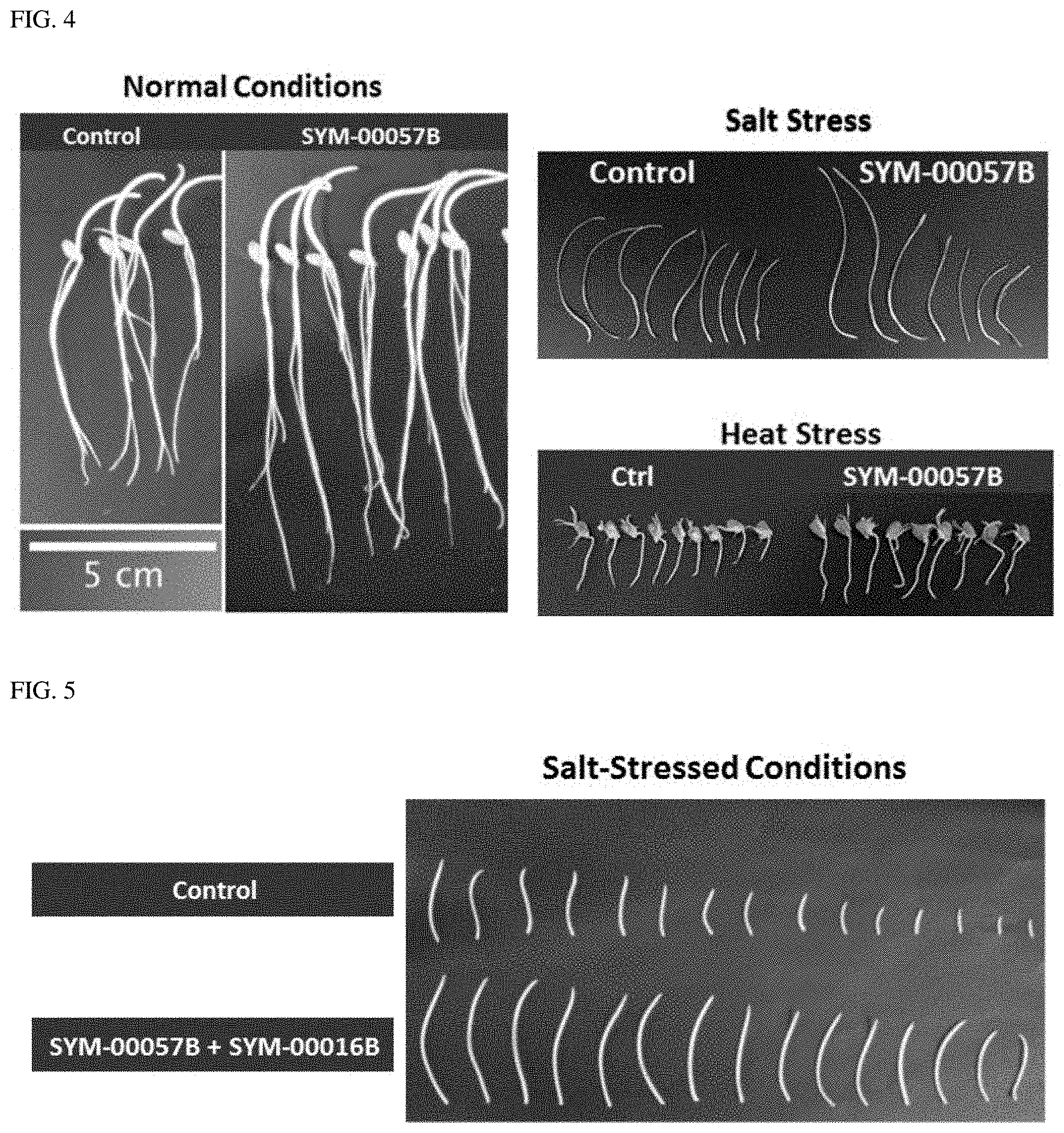 Patent US11793202 Figure 3 – Methods of use of seed-origin endophyte populations