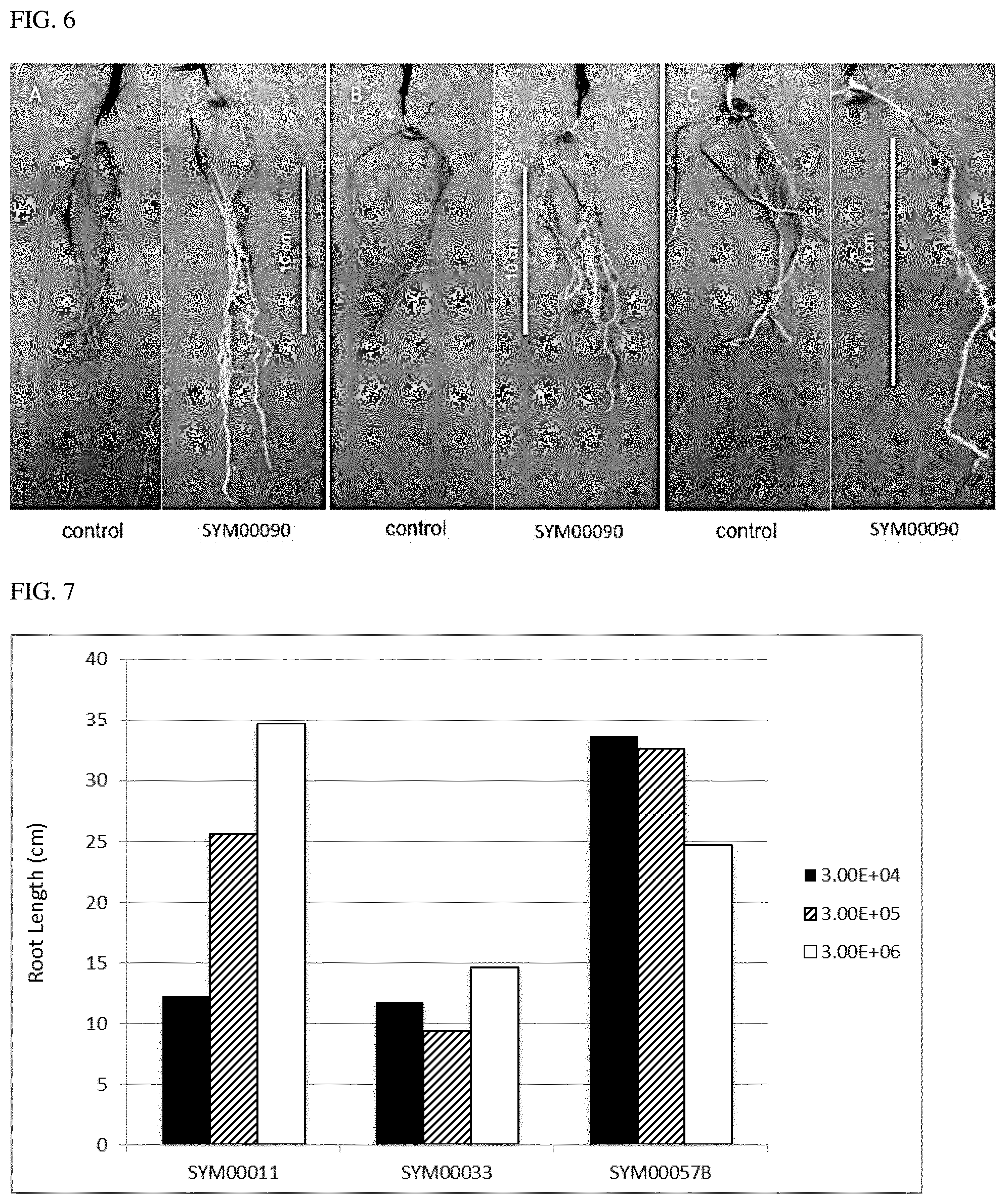 Patent US11793202 Figure 4 – Methods of use of seed-origin endophyte populations