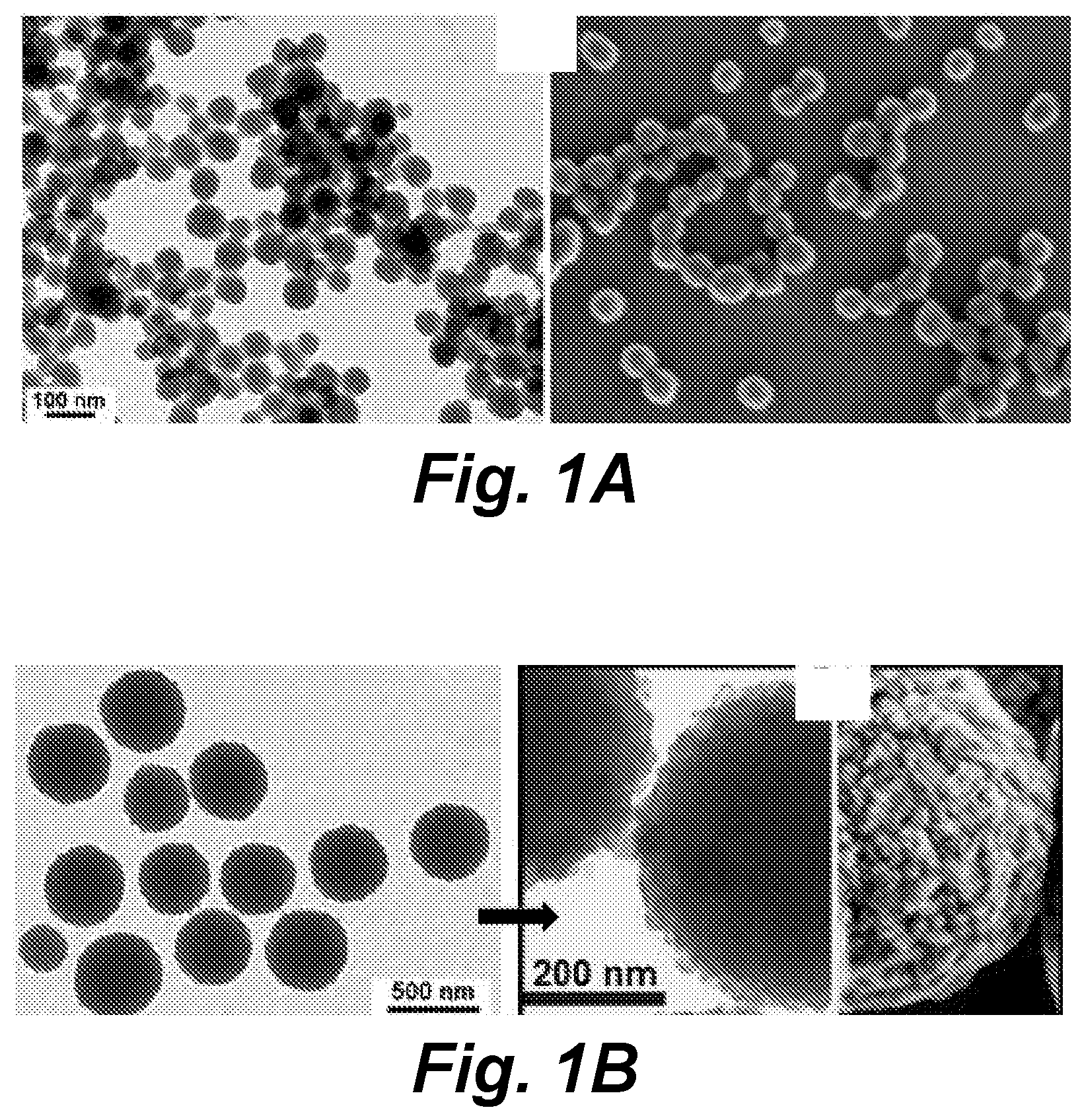 Patent US11793203 Figure 1 – Carbon nanosphere-coated bacteria as mosquito larvicides