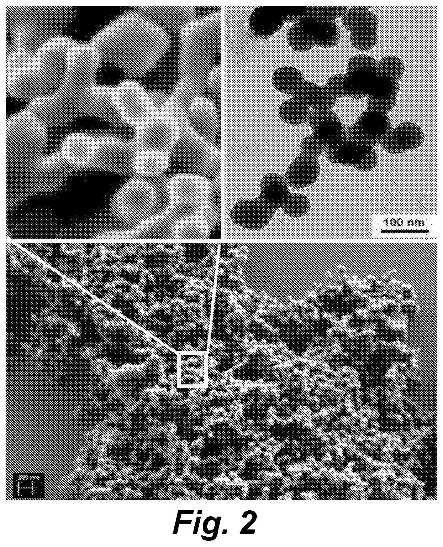 Patent US11793203 Figure 2 – Carbon nanosphere-coated bacteria as mosquito larvicides