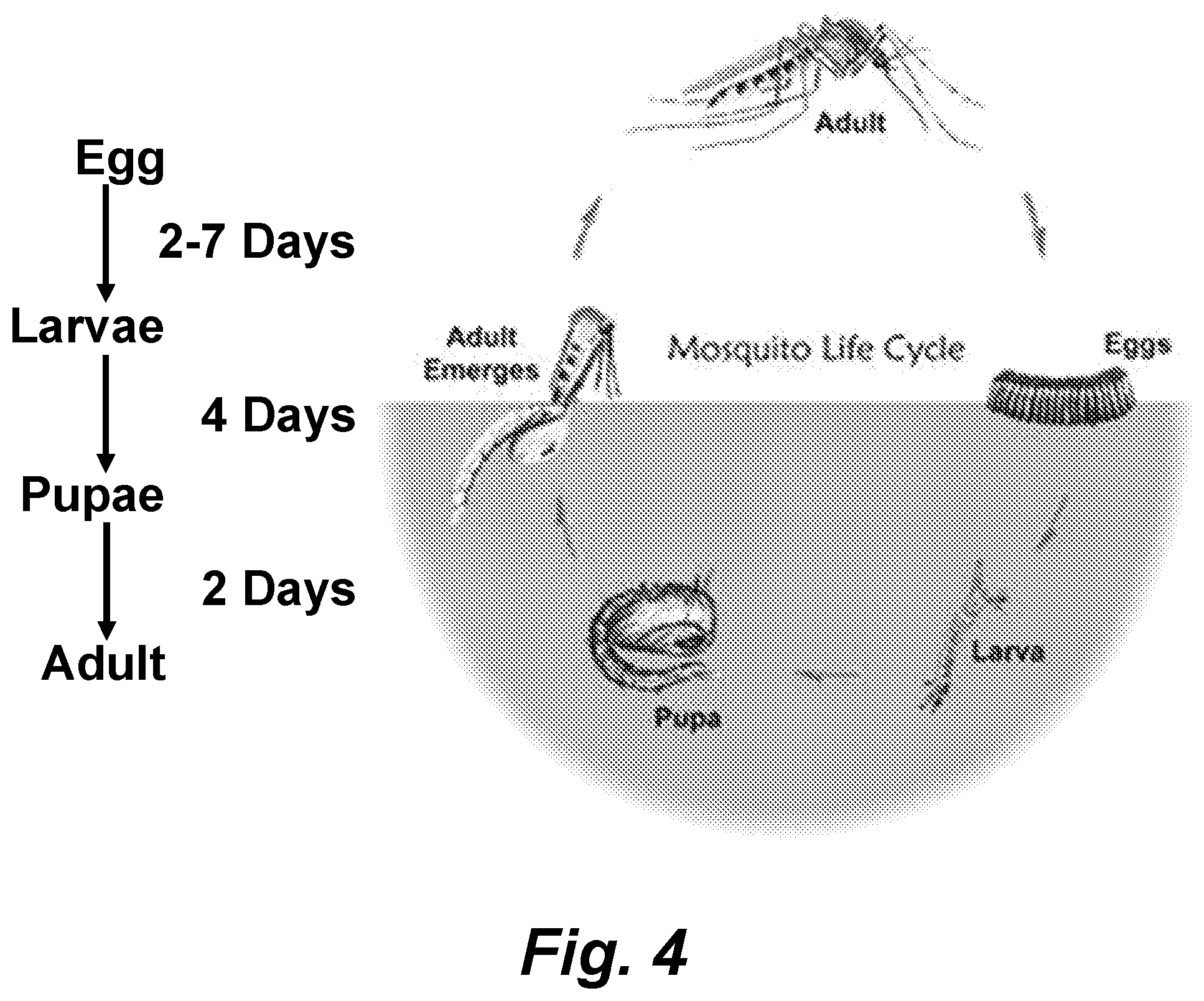 Patent US11793203 Figure 4 – Carbon nanosphere-coated bacteria as mosquito larvicides