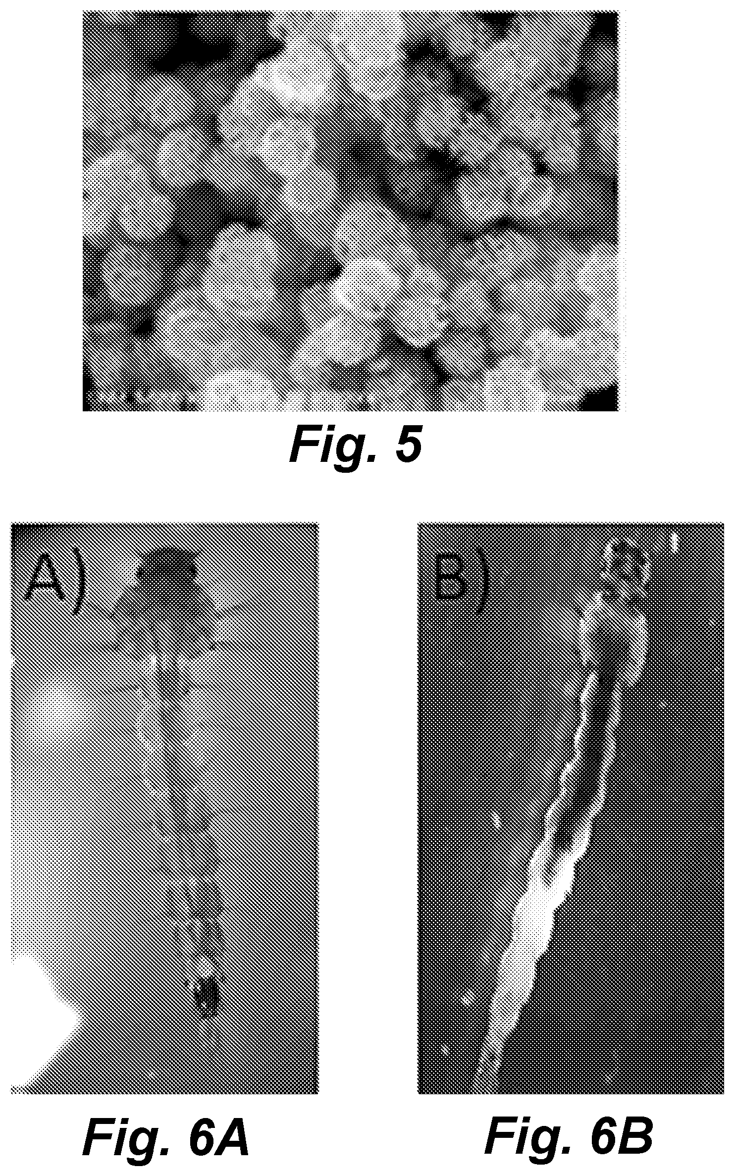 Patent US11793203 Figure 5 – Carbon nanosphere-coated bacteria as mosquito larvicides