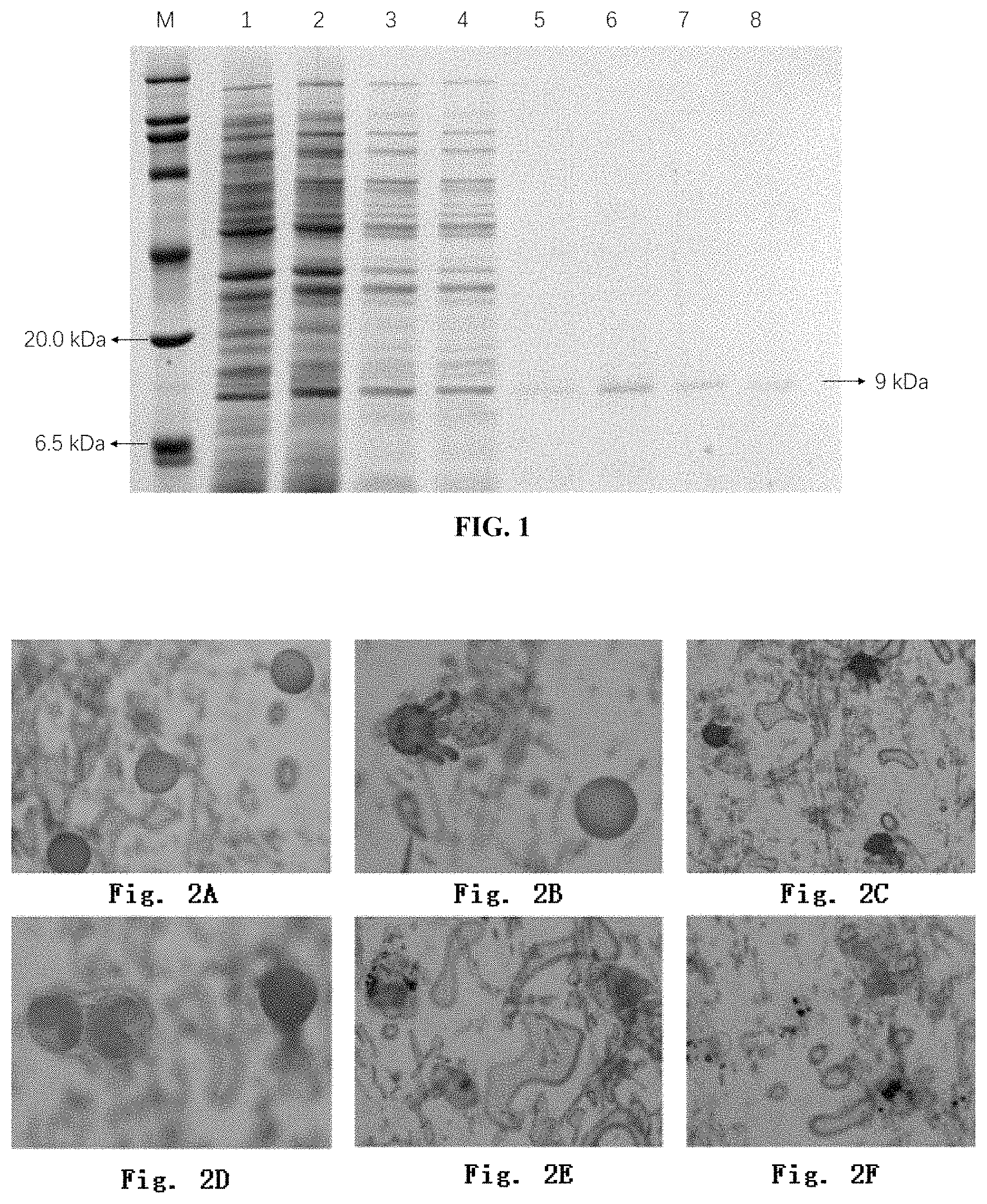 Patent US11793204 Figure 1 – BVP8 protein for killing Tetranychid mites and use thereof