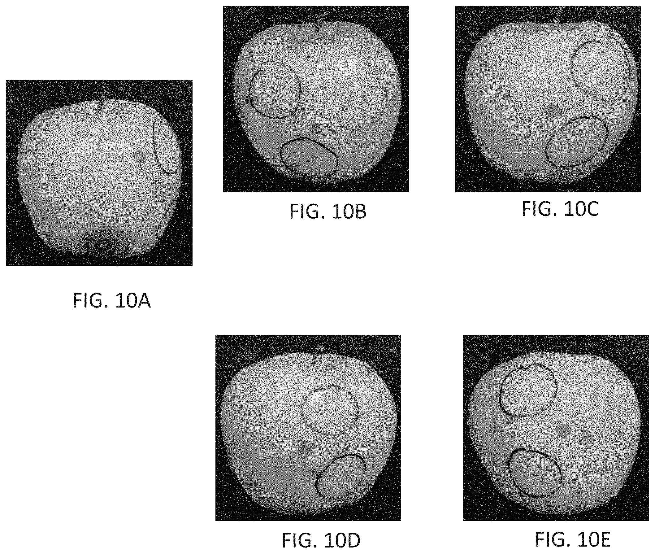 Patent US11793210 Figure 7 – Nano-cellulose coatings to prevent damage in foodstuffs