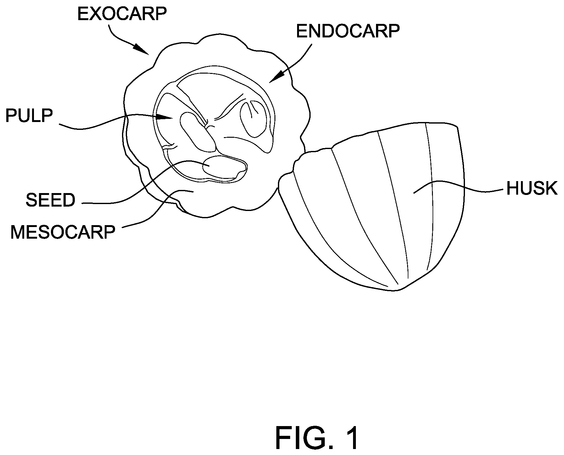 Patent US11793212 Figure 1 – Shelf stable, high moisture fruit confections produced from secondary fruit products