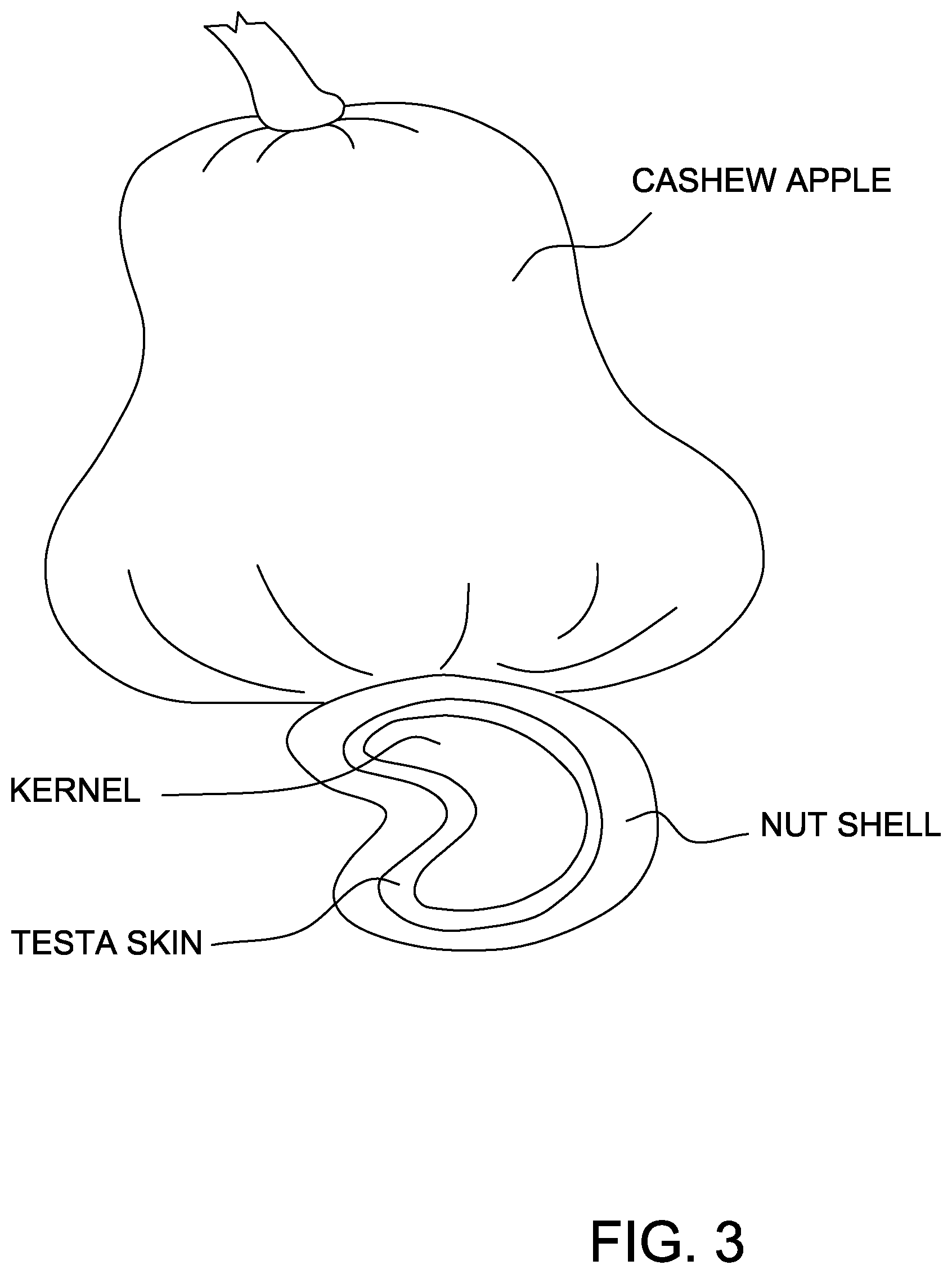 Patent US11793212 Figure 3 – Shelf stable, high moisture fruit confections produced from secondary fruit products