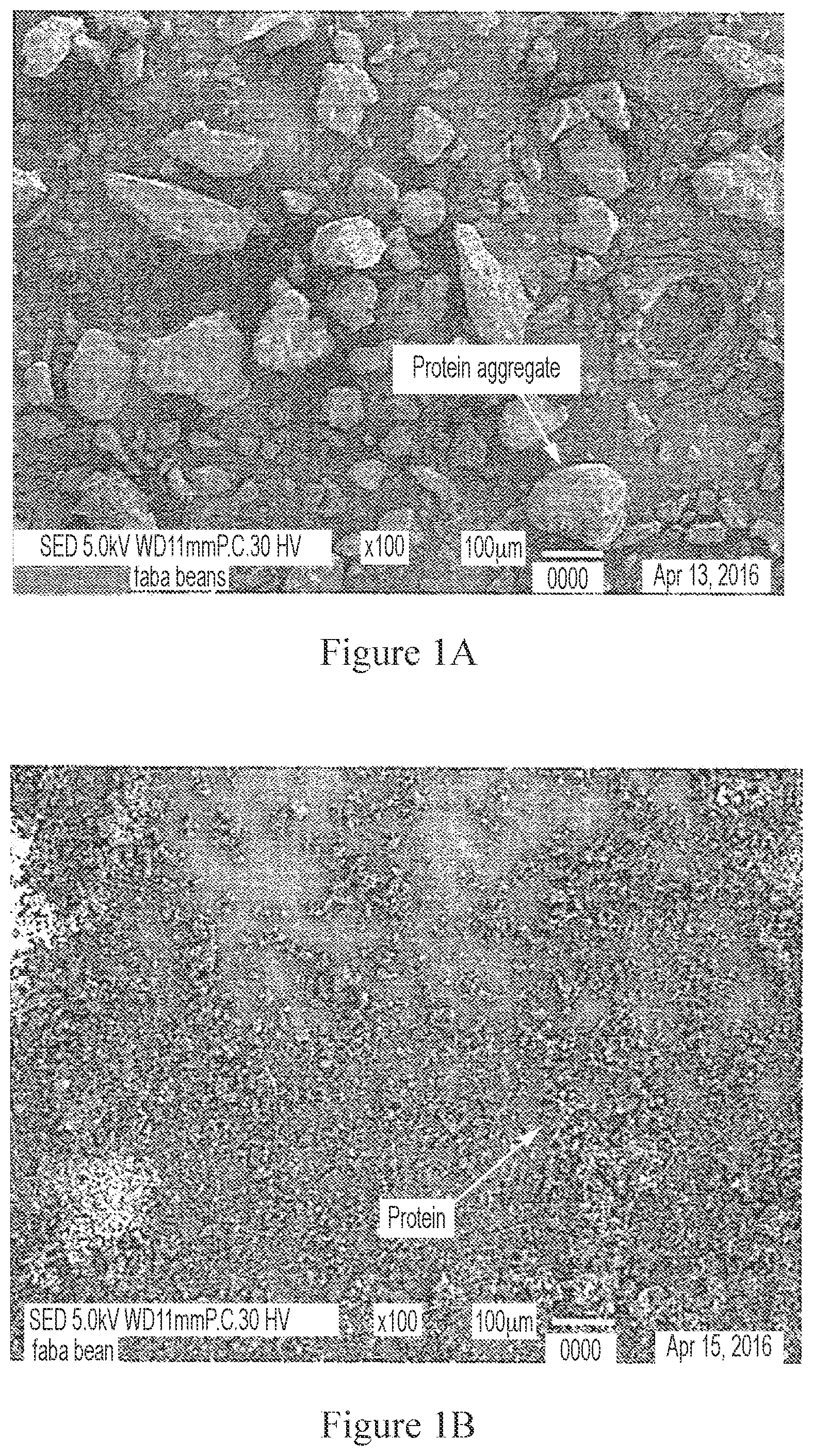 Patent US11793213 Figure 1 – Foodstuffs comprising treated fava bean protein concentrates
