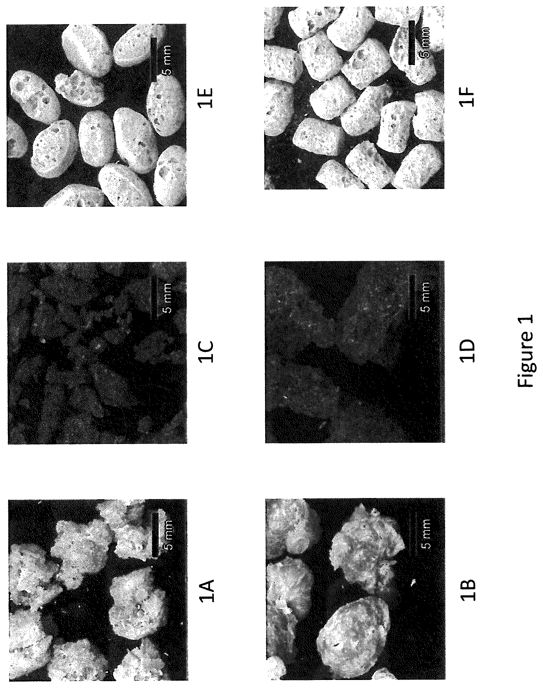 Patent US11793214 Figure 1 – Extruded protein product and methods of making