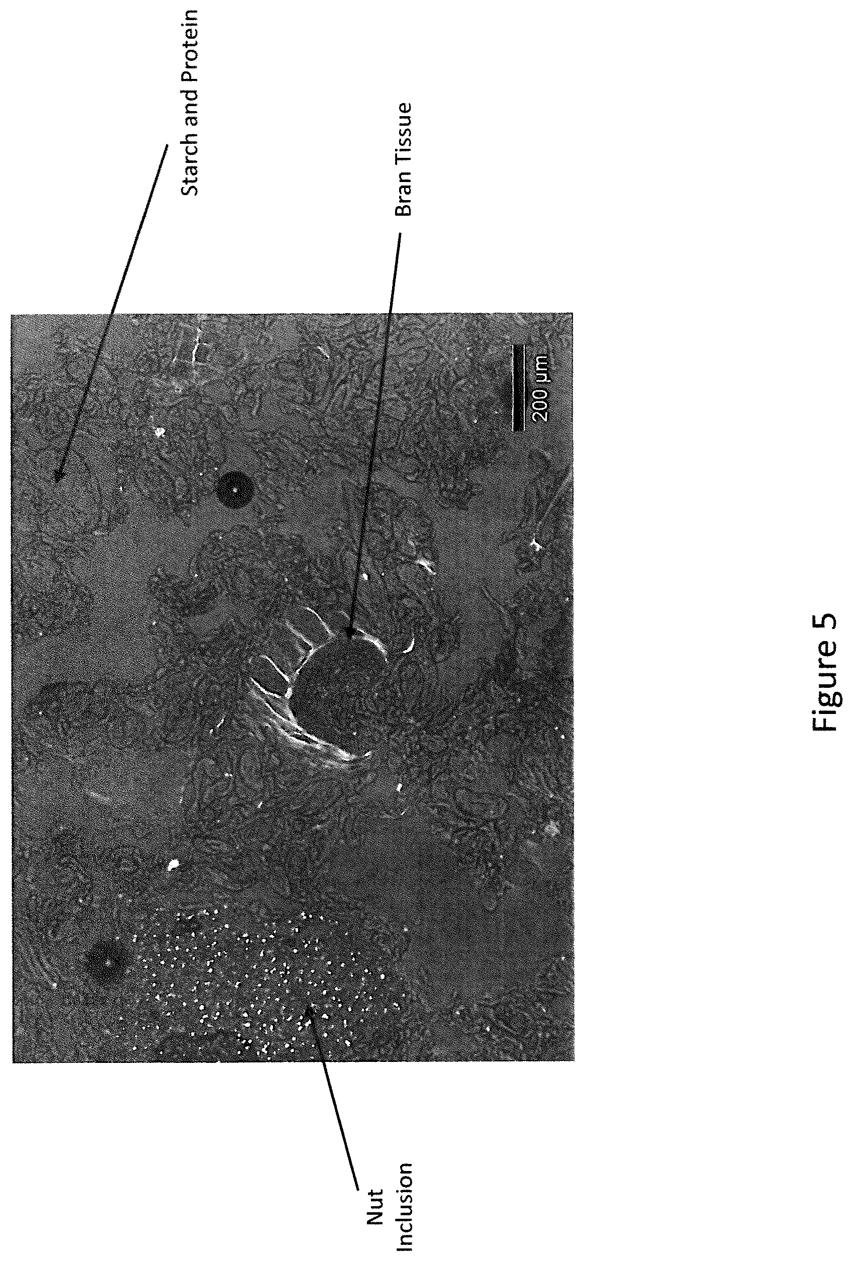Patent US11793214 Figure 5 – Extruded protein product and methods of making