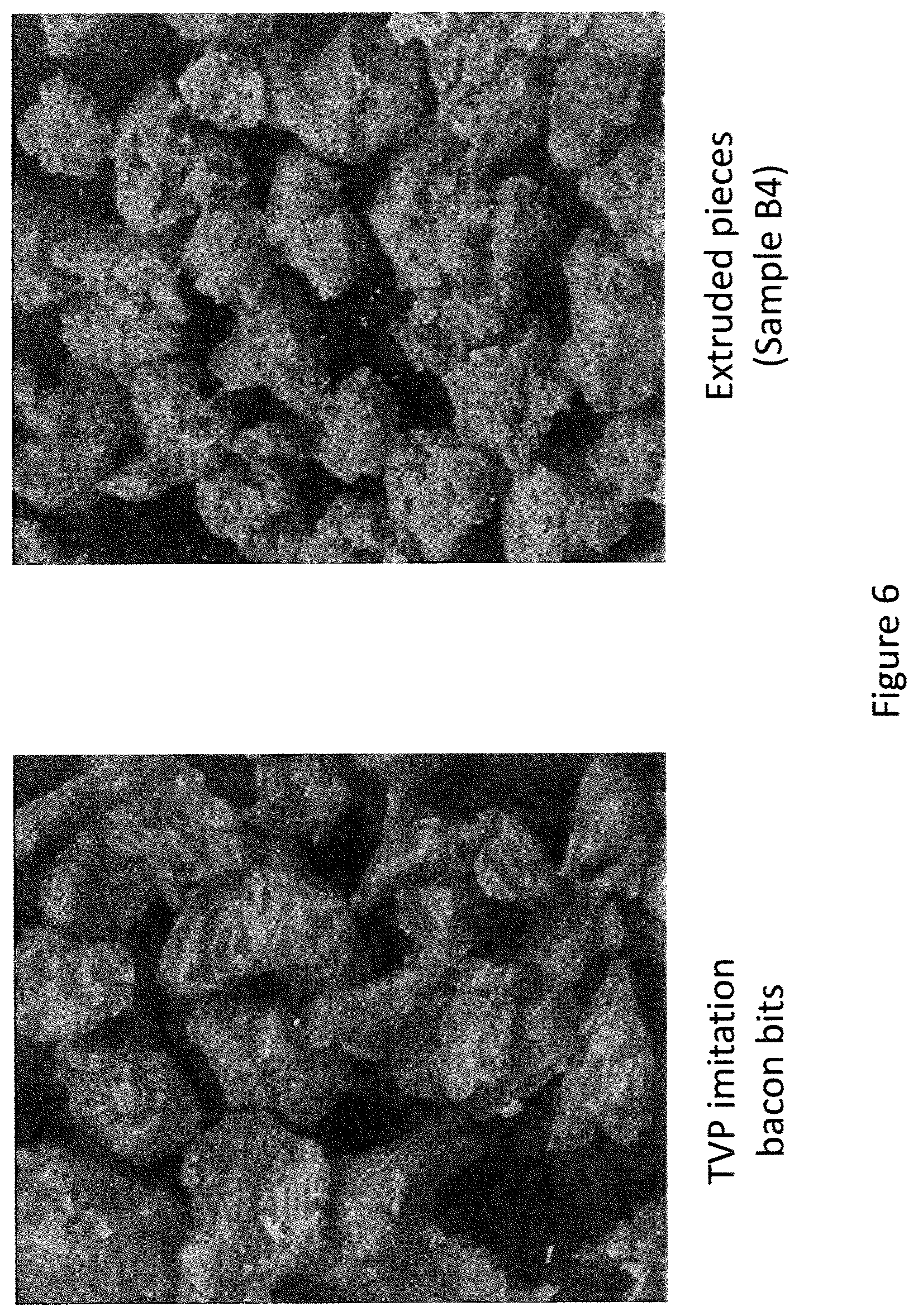 Patent US11793214 Figure 6 – Extruded protein product and methods of making