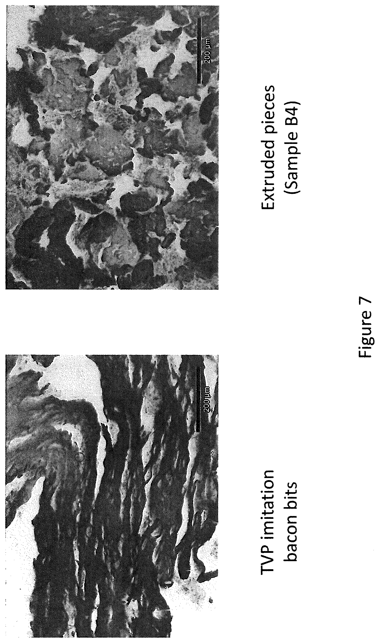 Patent US11793214 Figure 7 – Extruded protein product and methods of making