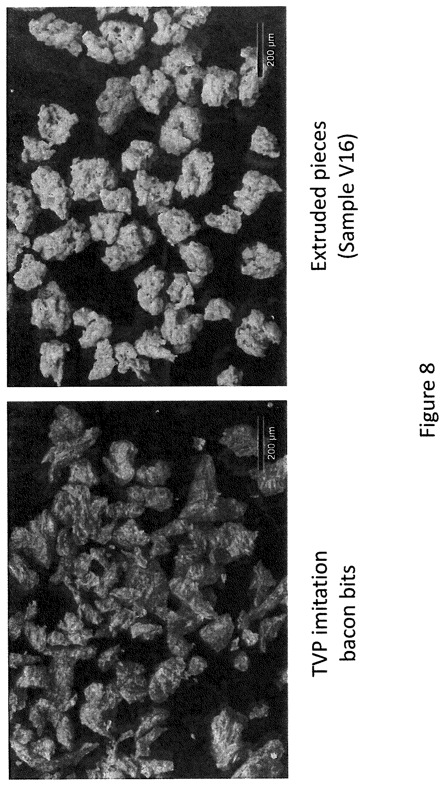Patent US11793214 Figure 8 – Extruded protein product and methods of making