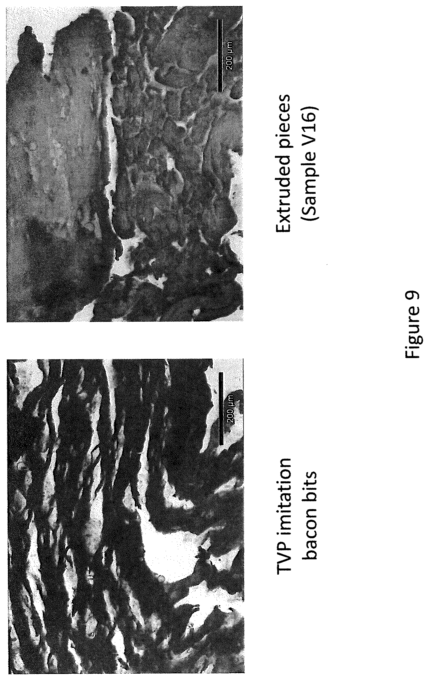Patent US11793214 Figure 9 – Extruded protein product and methods of making