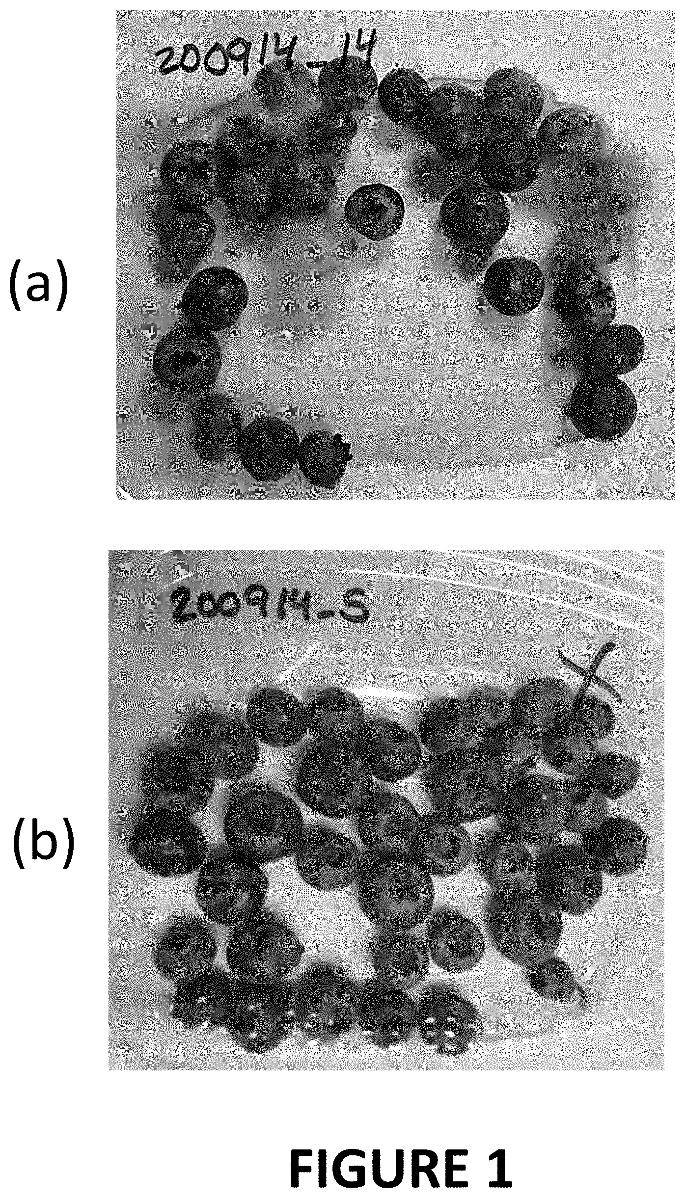 Patent US11793220 Figure 1 – Materials and methods for extending shelf-life of foods