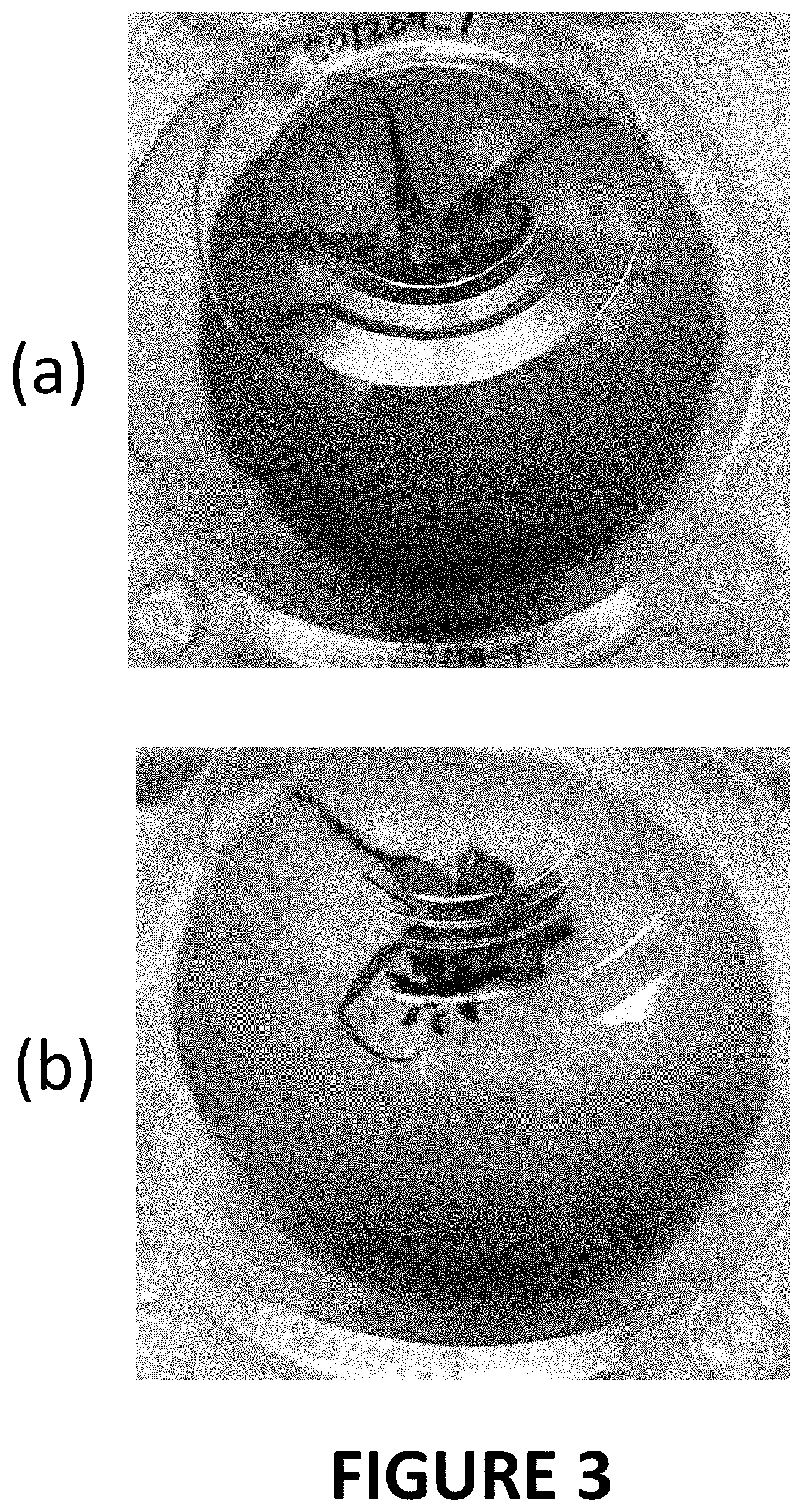 Patent US11793220 Figure 3 – Materials and methods for extending shelf-life of foods