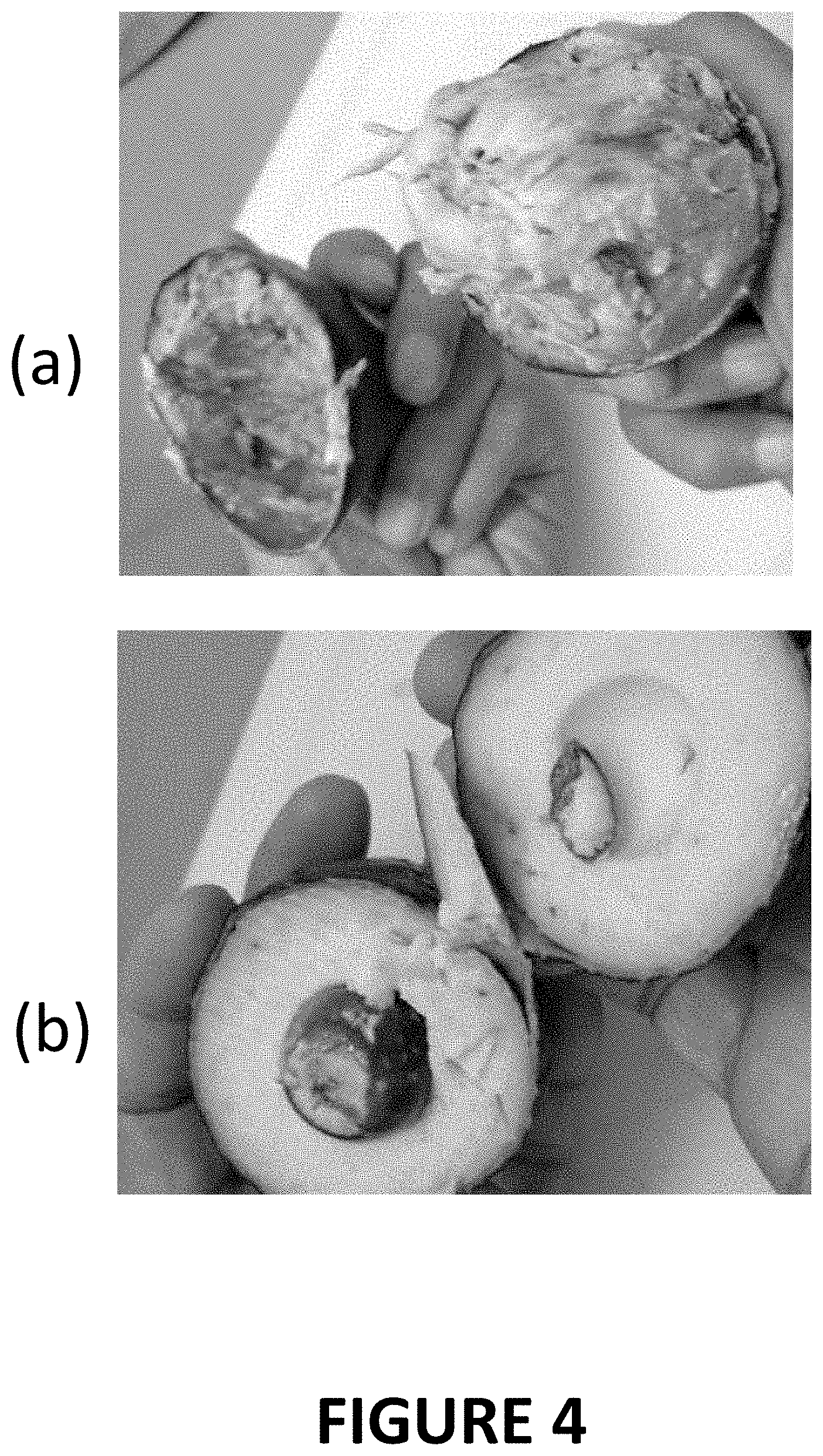 Patent US11793220 Figure 4 – Materials and methods for extending shelf-life of foods